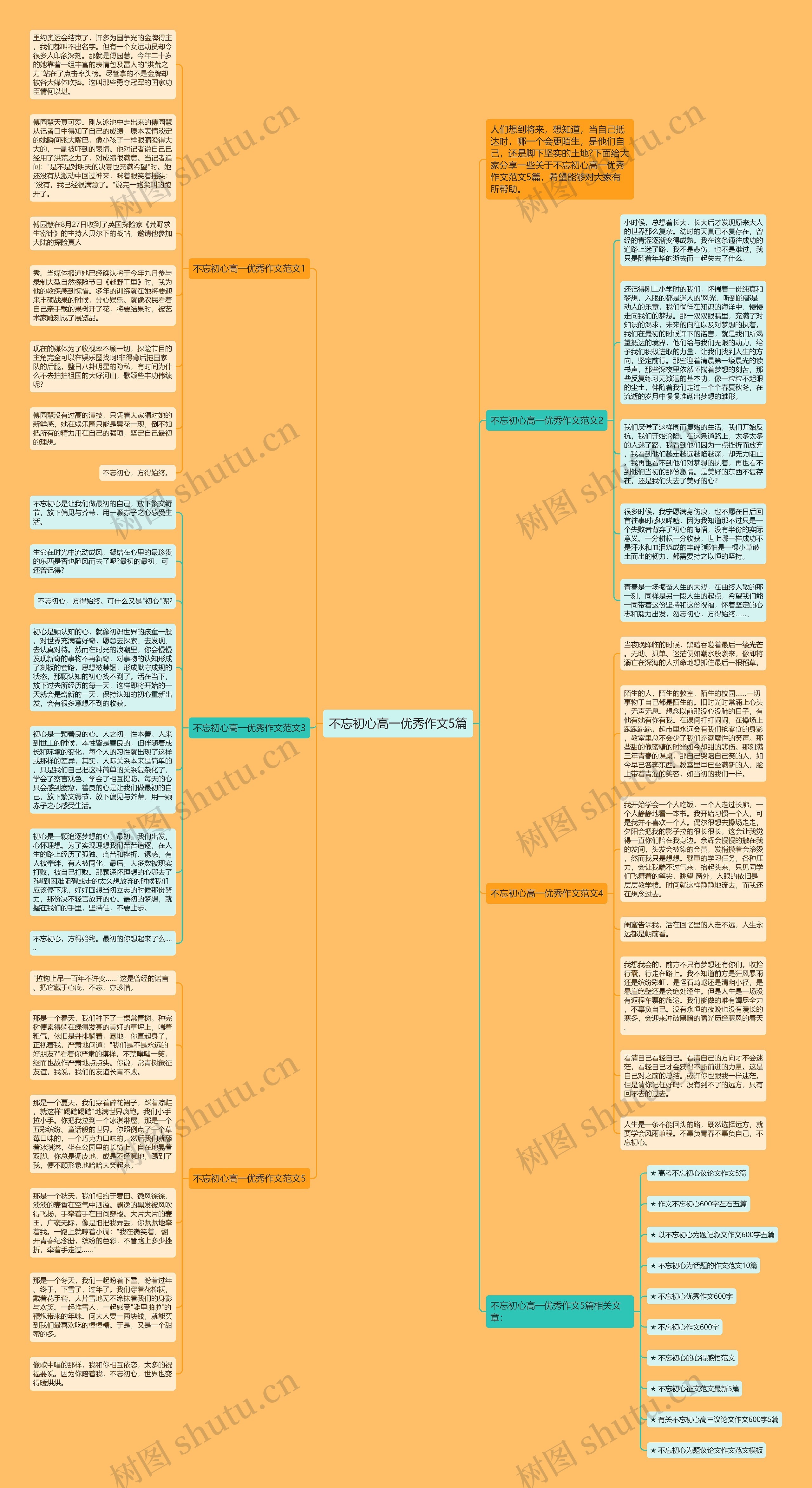 不忘初心高一优秀作文5篇思维导图