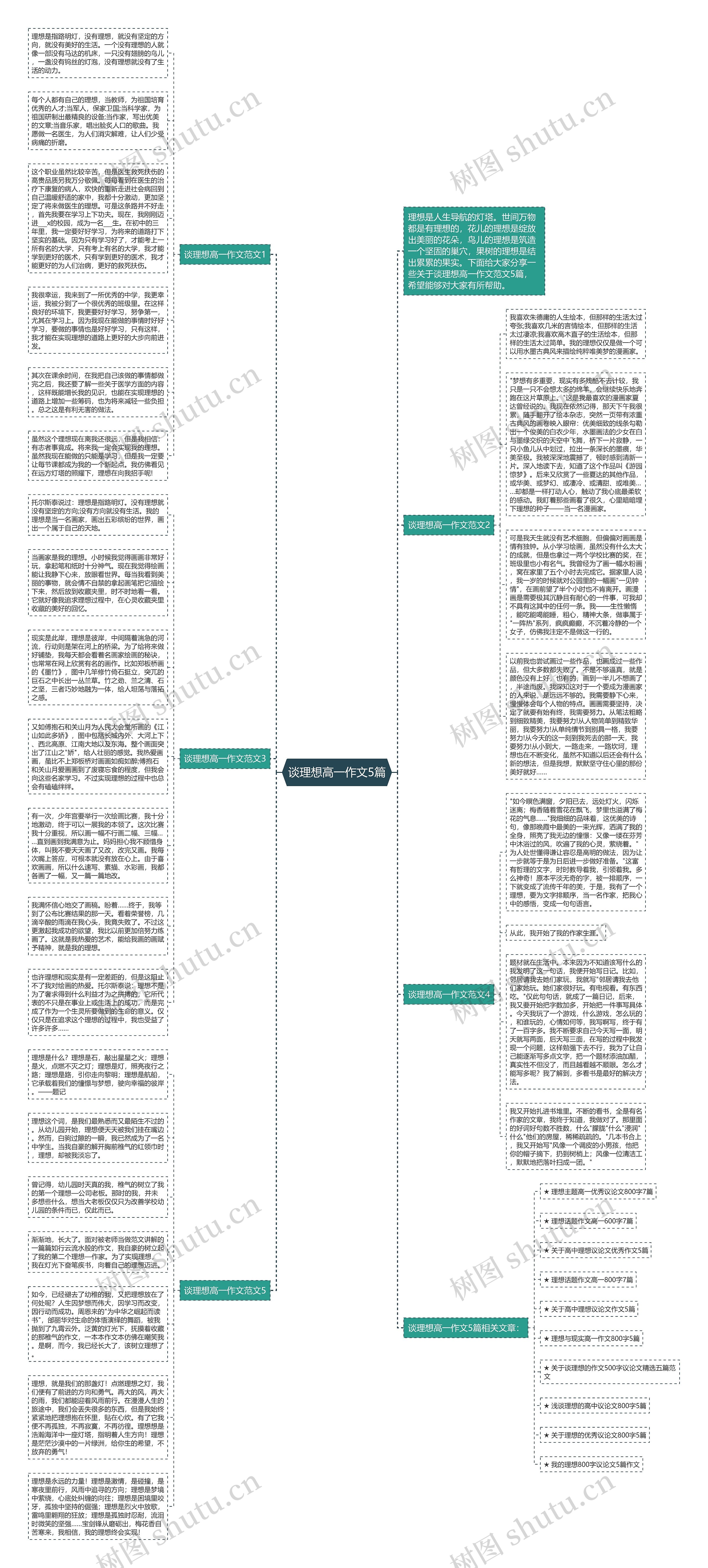 谈理想高一作文5篇思维导图