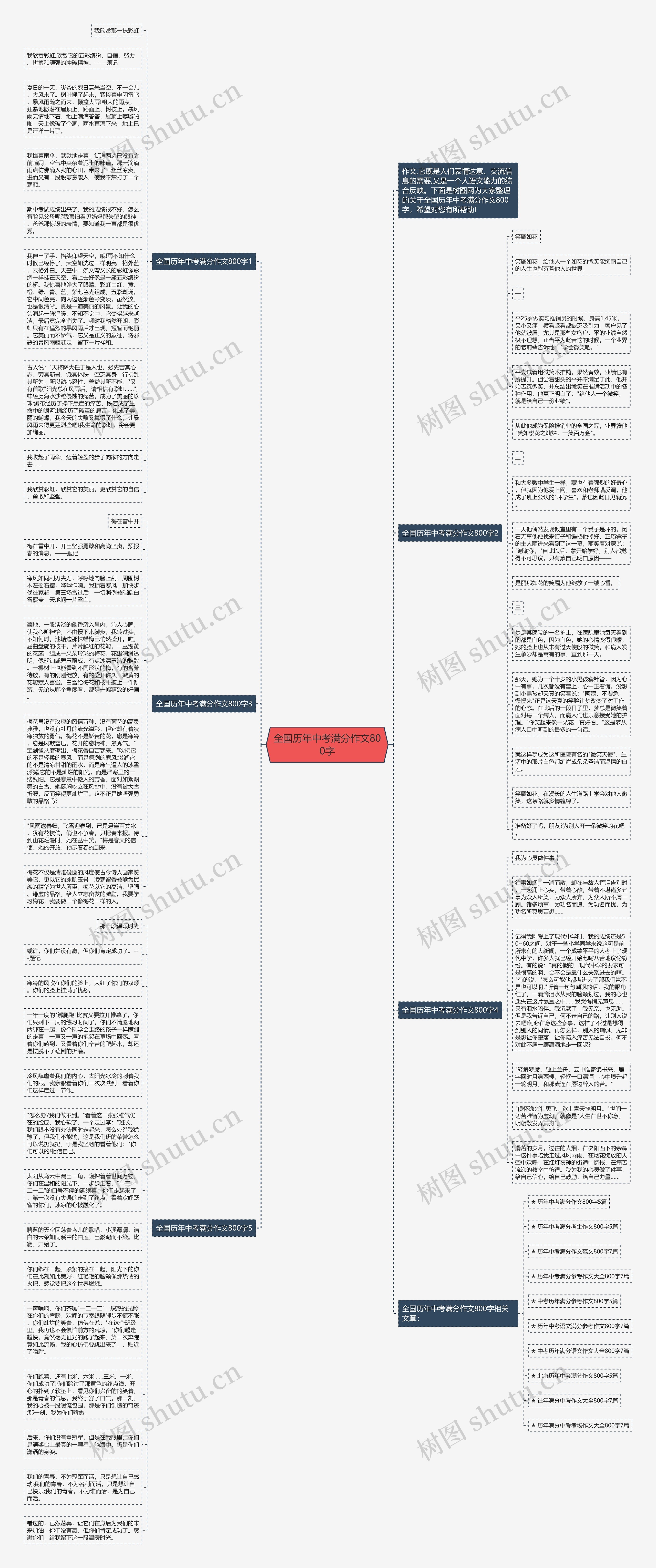 全国历年中考满分作文800字思维导图