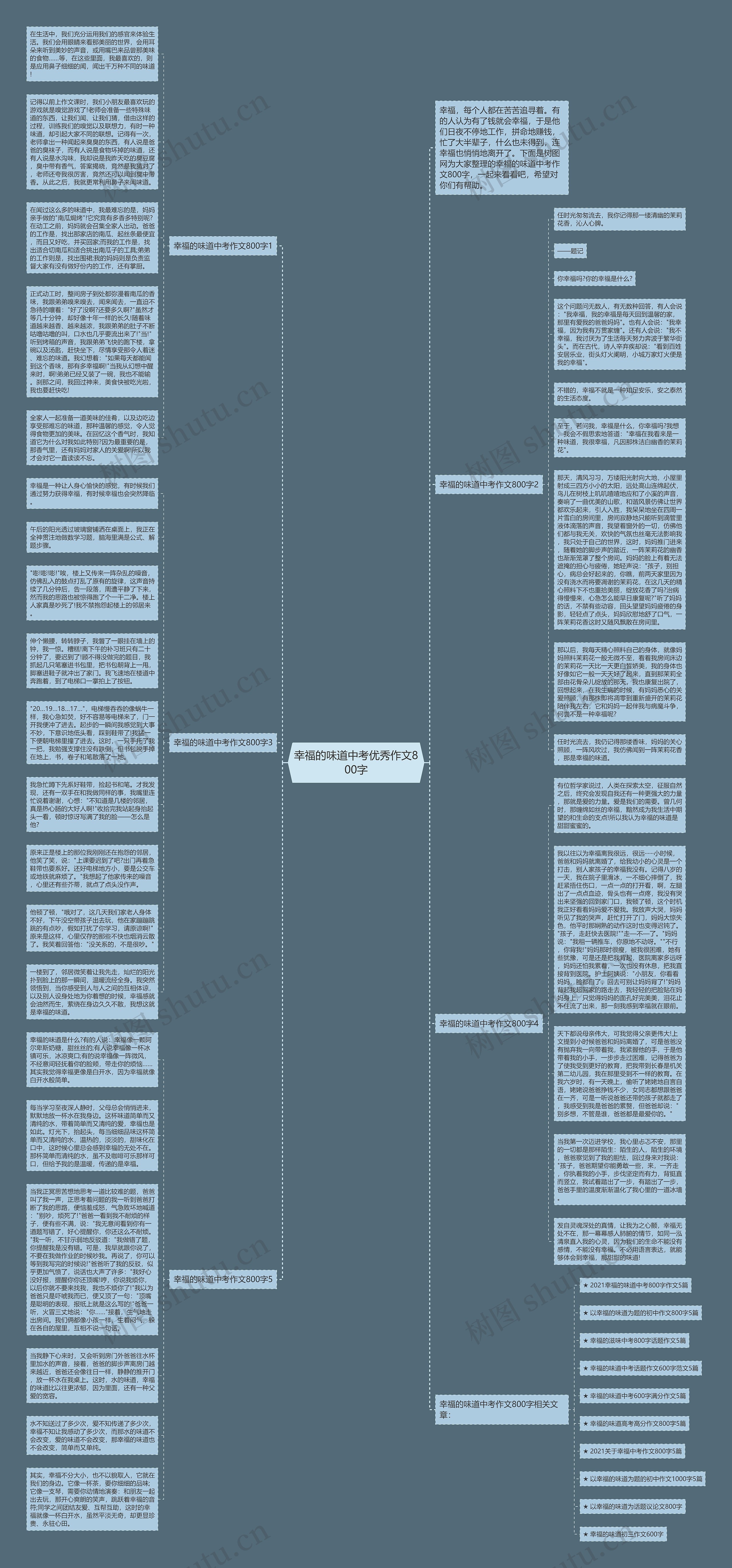 幸福的味道中考优秀作文800字思维导图