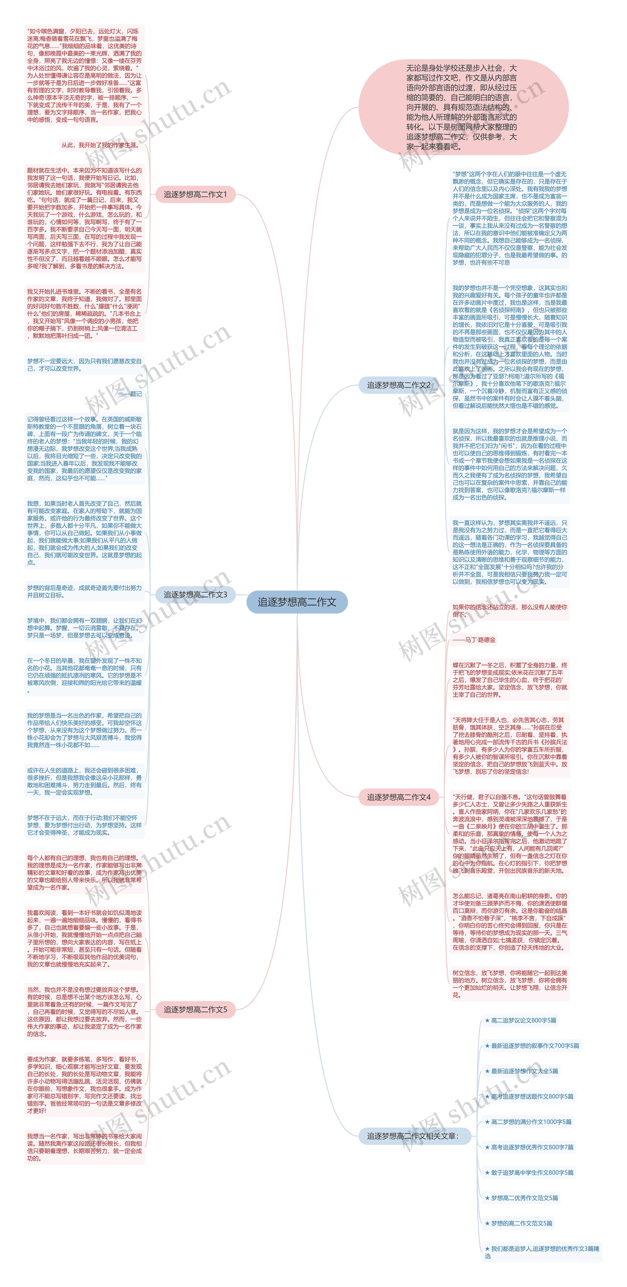 追逐梦想高二作文思维导图