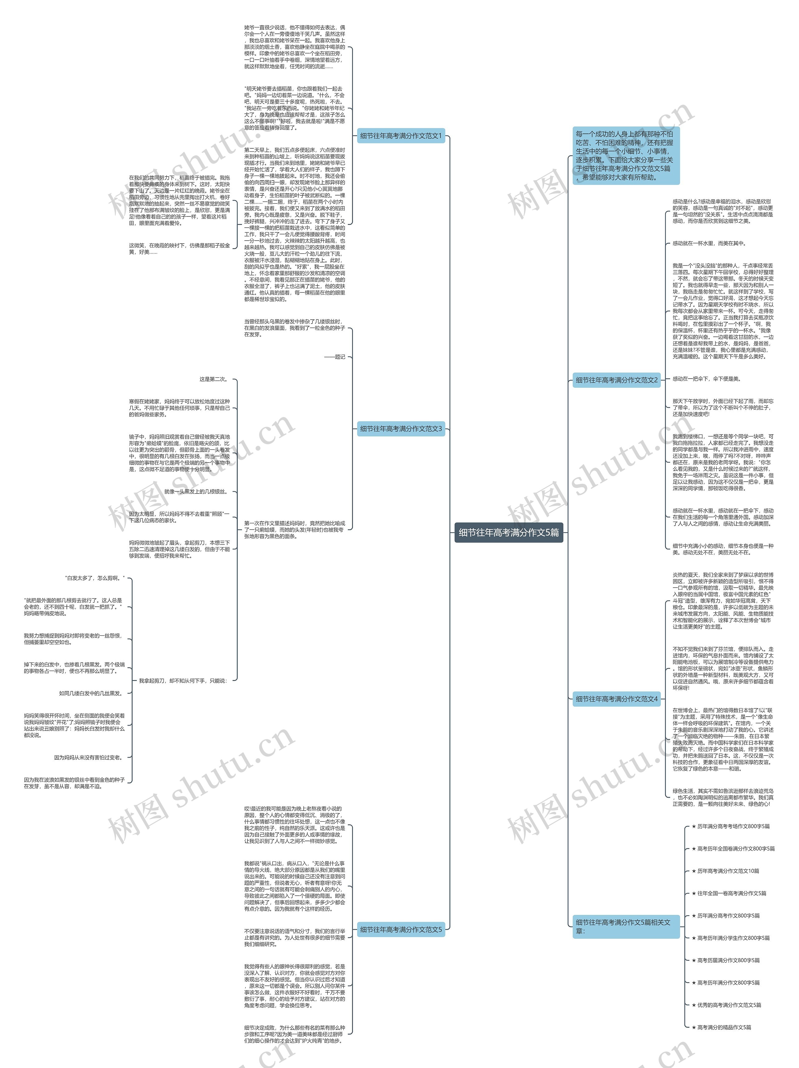 细节往年高考满分作文5篇思维导图