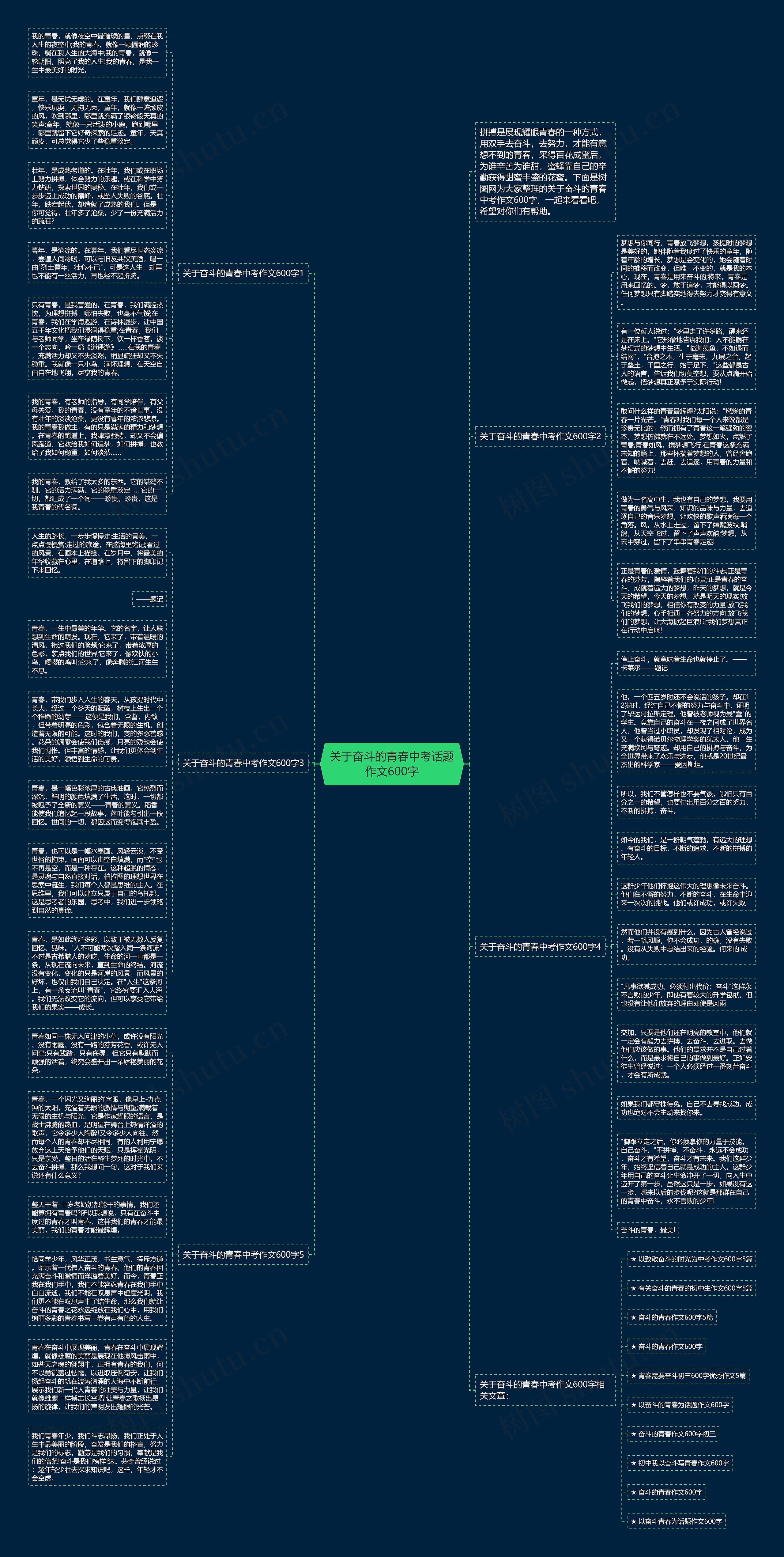 关于奋斗的青春中考话题作文600字思维导图