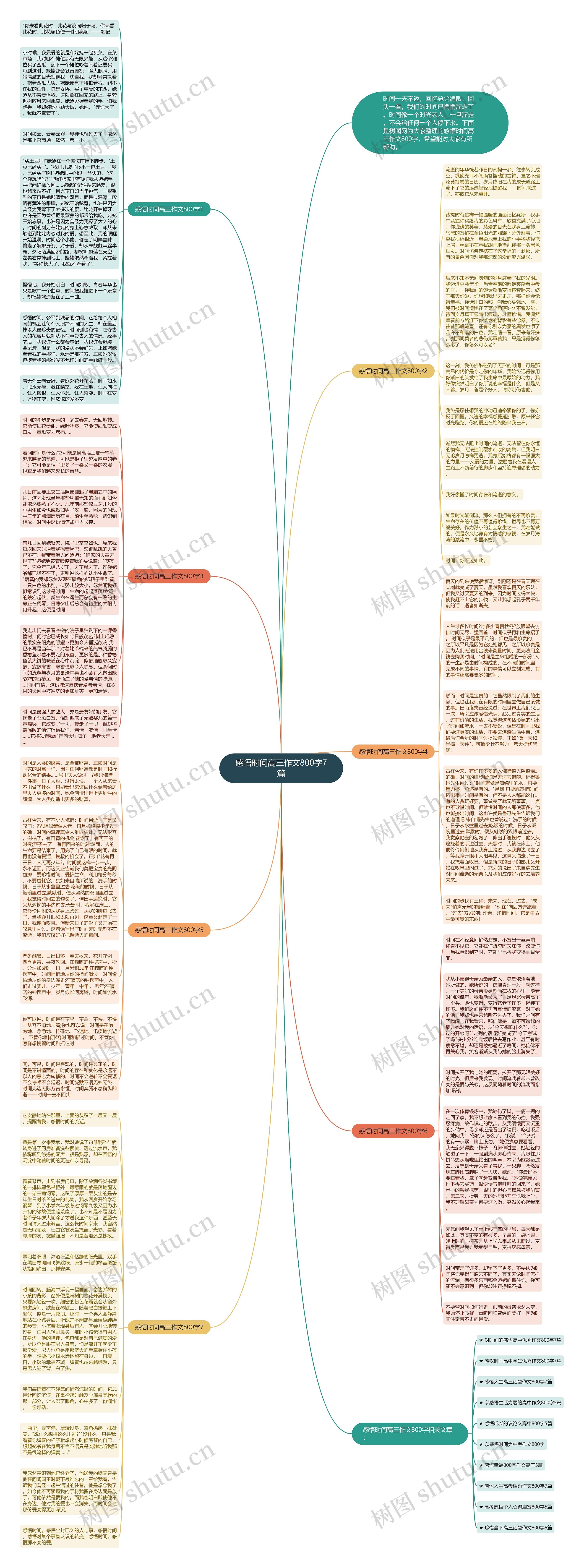 感悟时间高三作文800字7篇思维导图