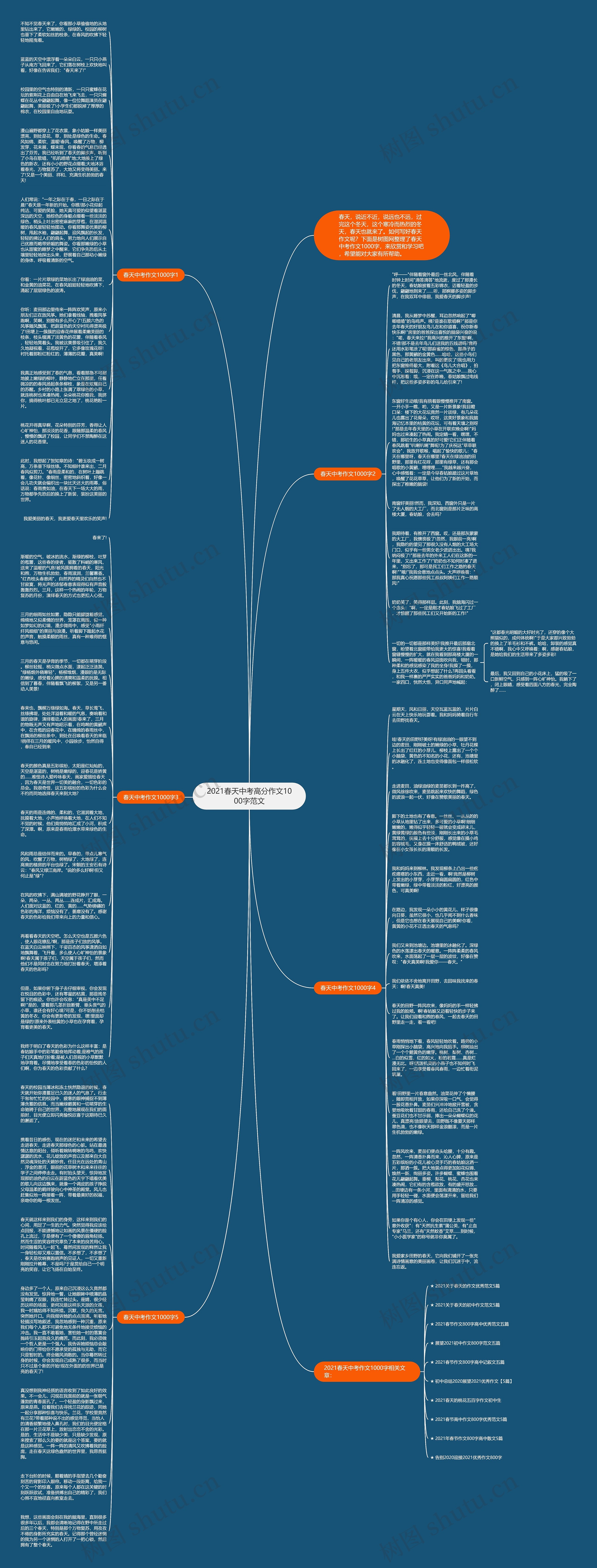 2021春天中考高分作文1000字范文思维导图