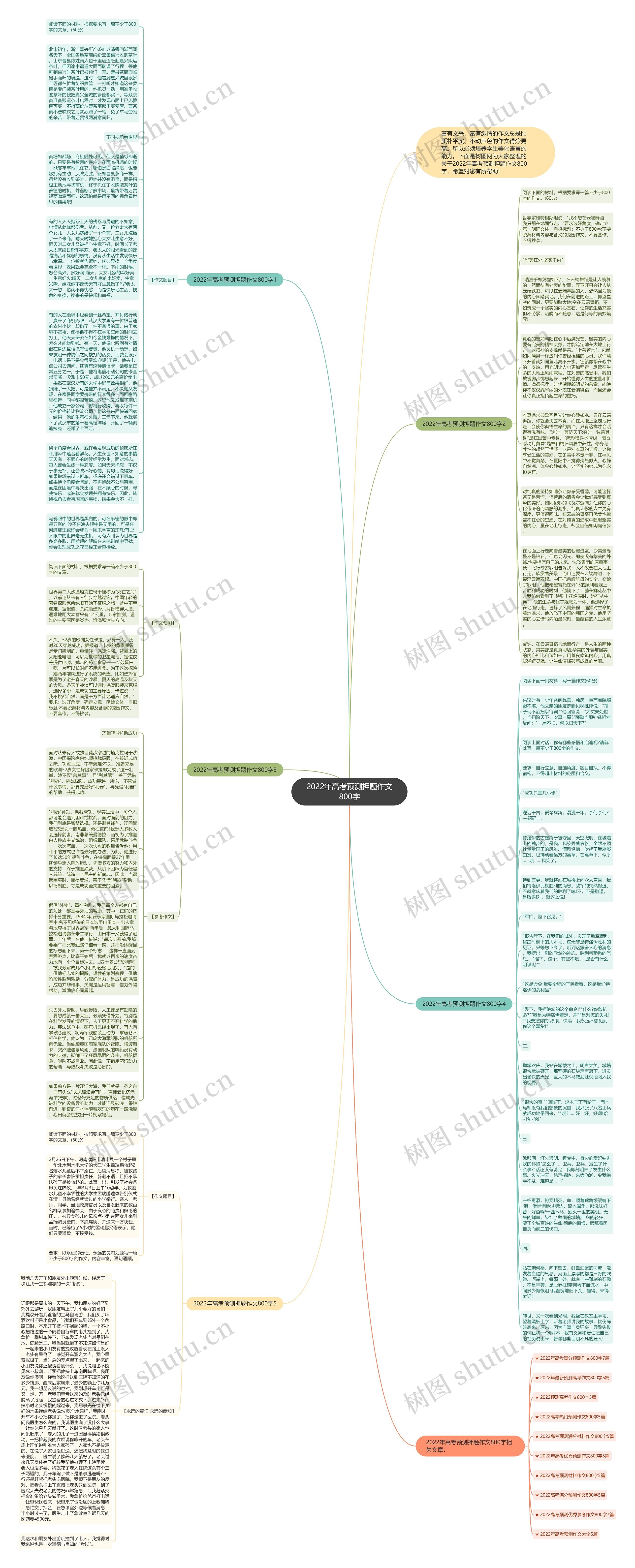 2022年高考预测押题作文800字思维导图