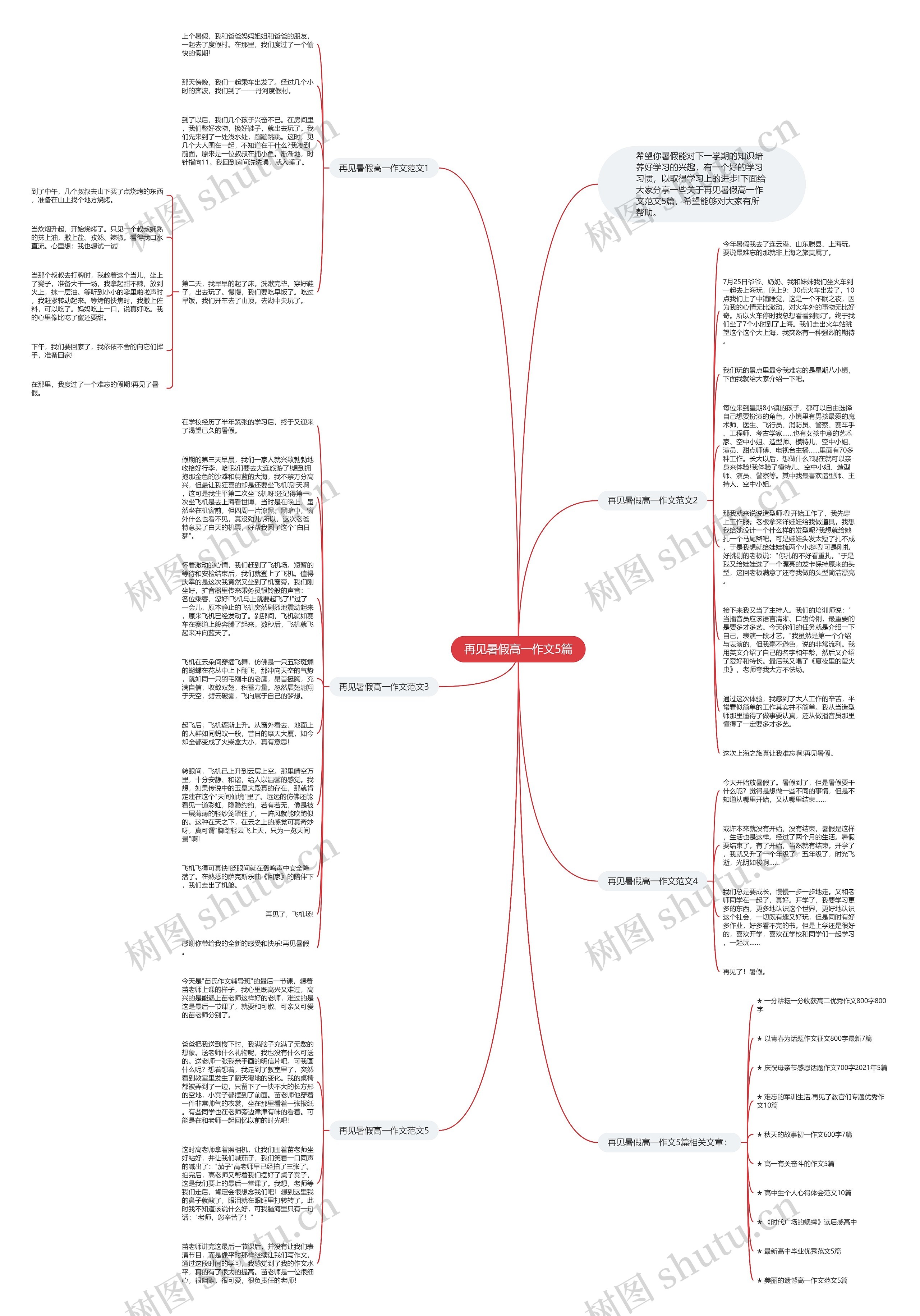 再见暑假高一作文5篇思维导图