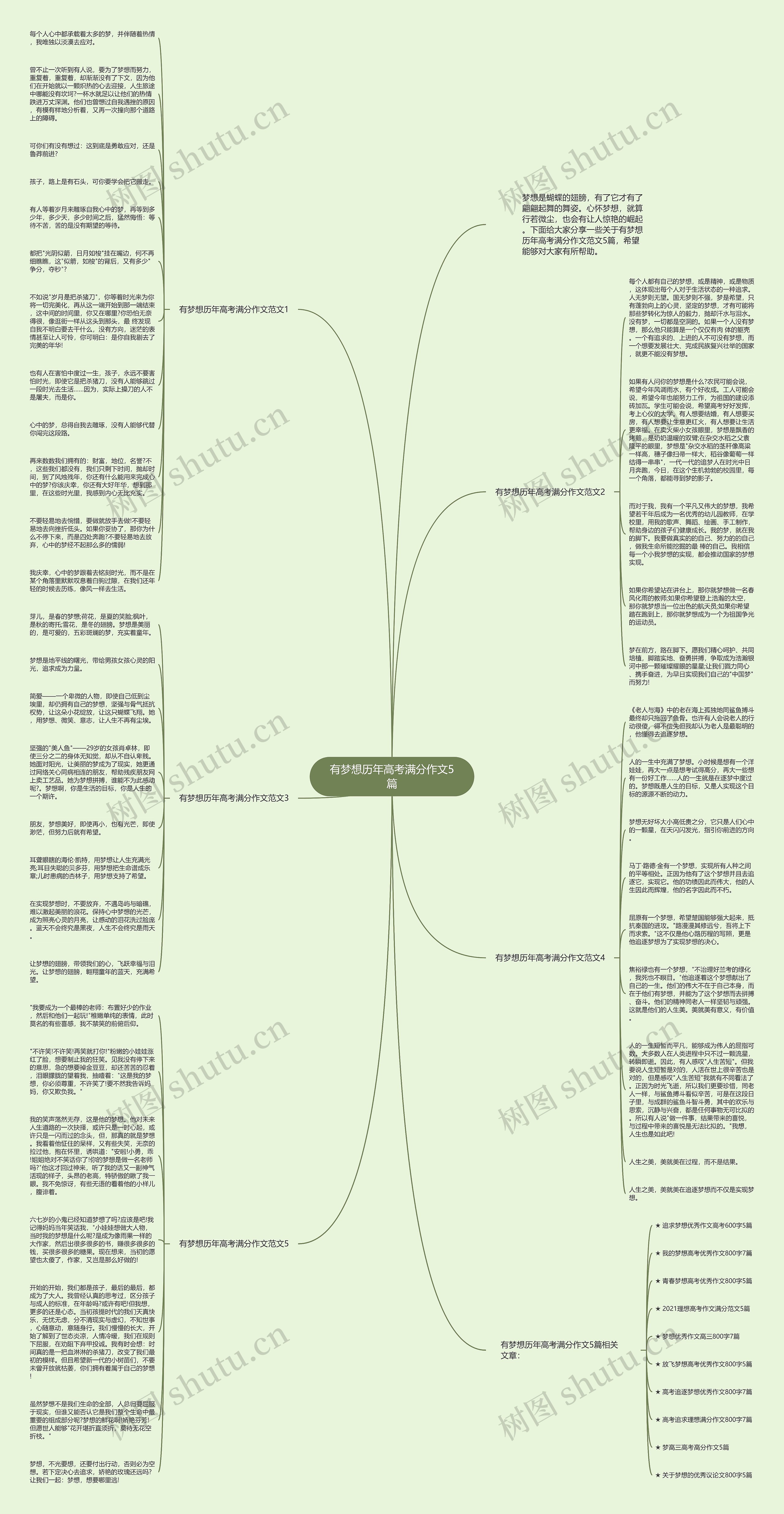 有梦想历年高考满分作文5篇思维导图