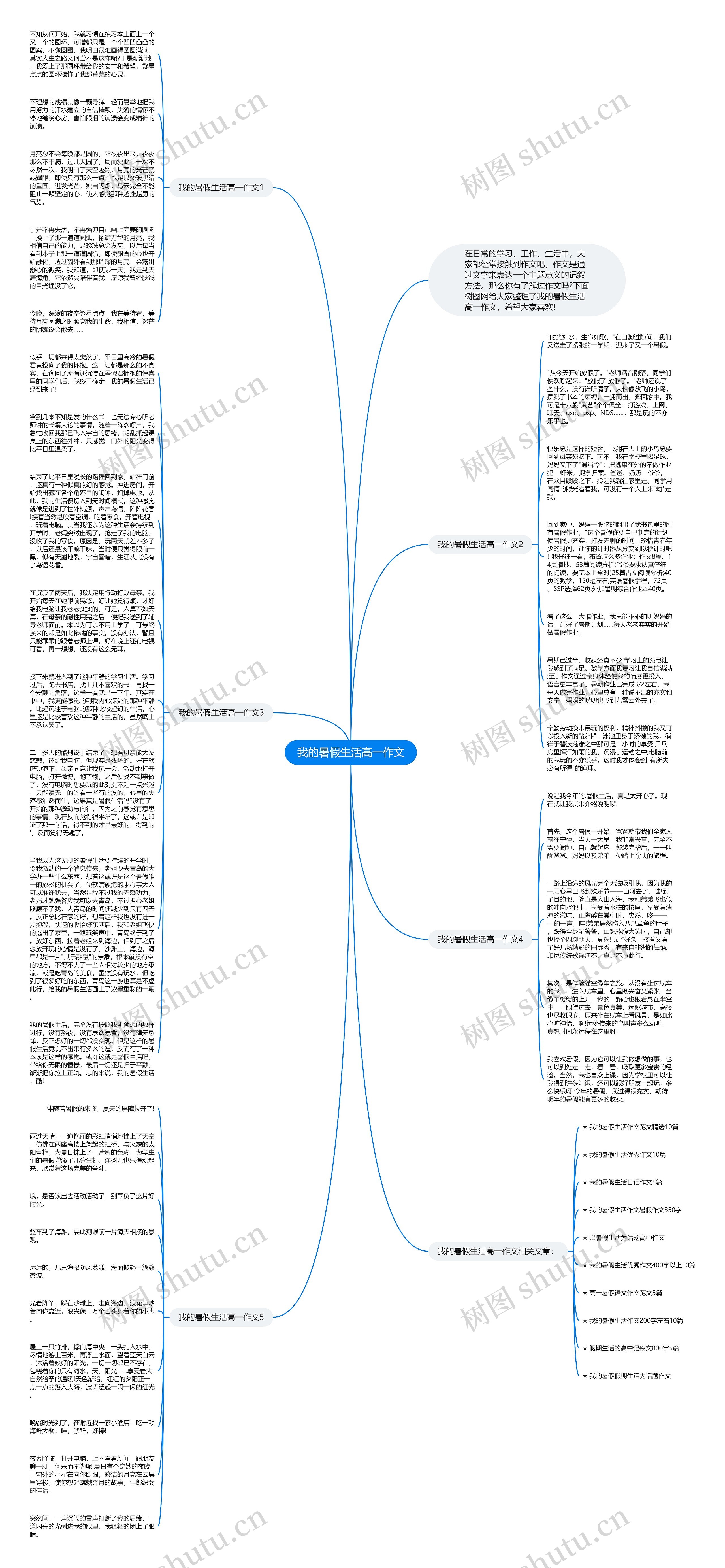 我的暑假生活高一作文思维导图