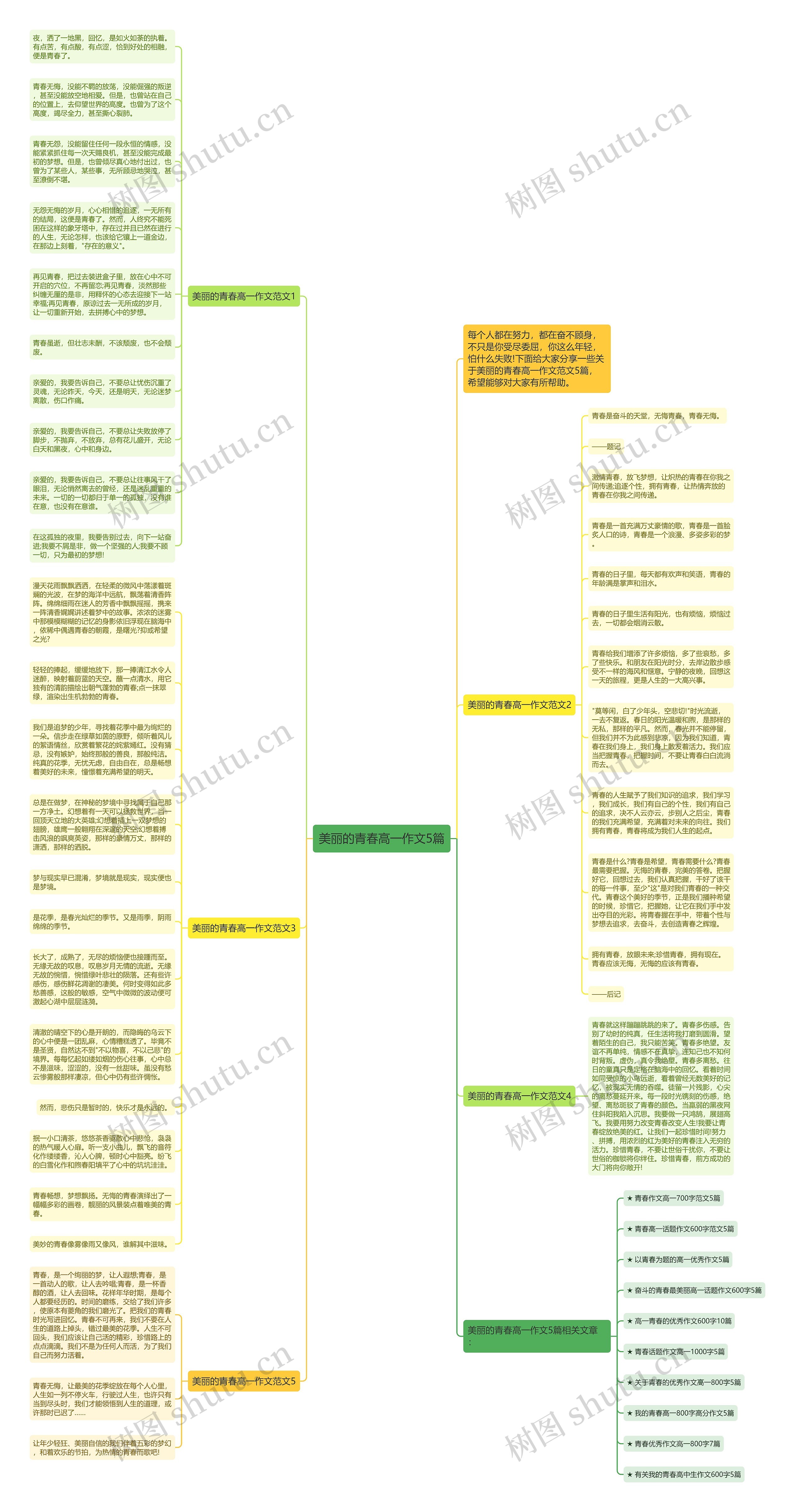 美丽的青春高一作文5篇思维导图