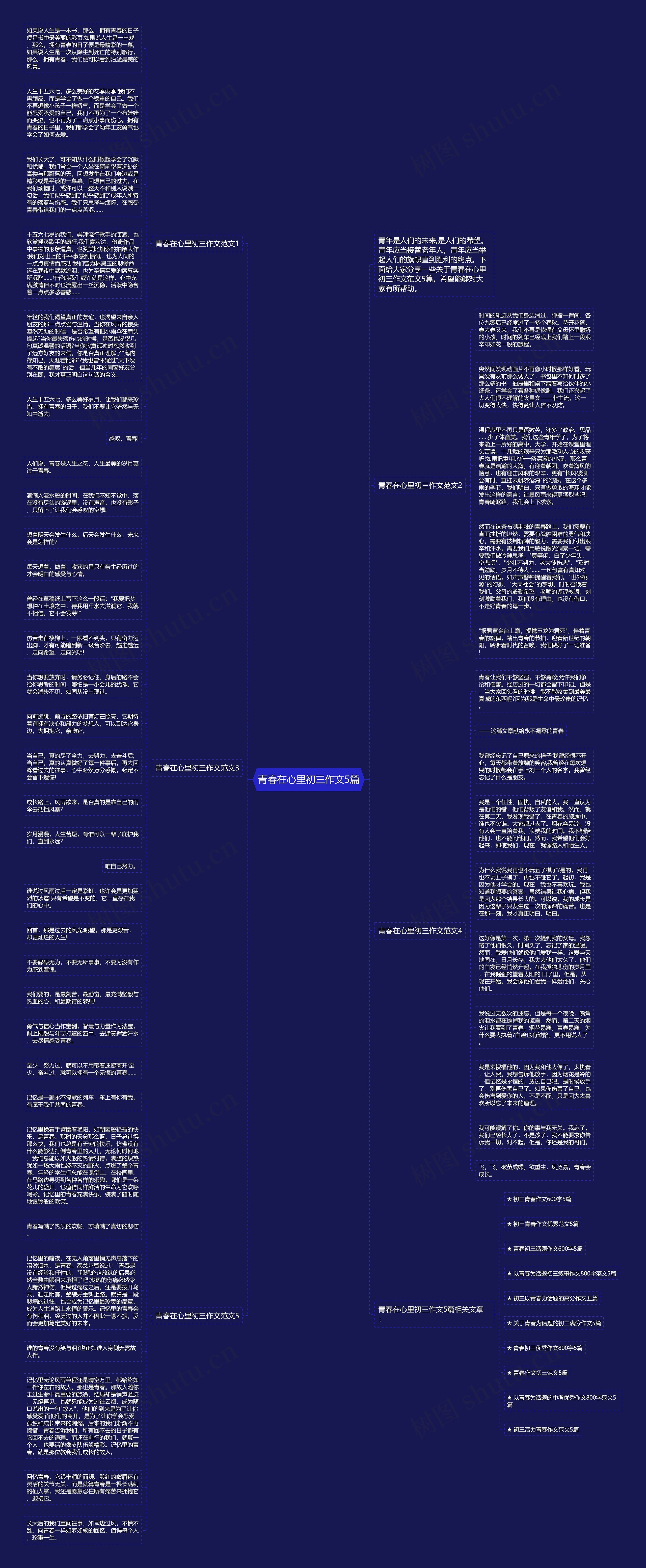 青春在心里初三作文5篇思维导图
