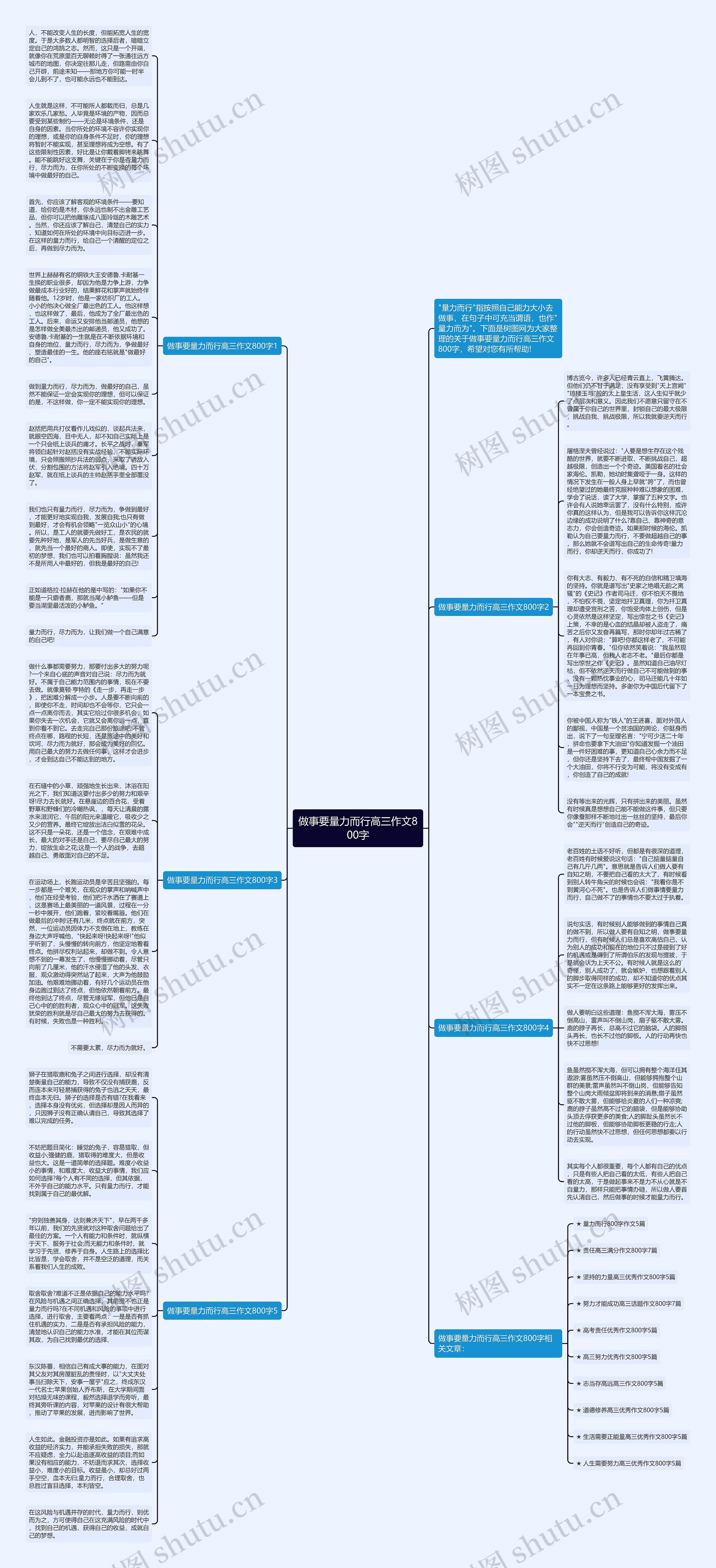做事要量力而行高三作文800字思维导图