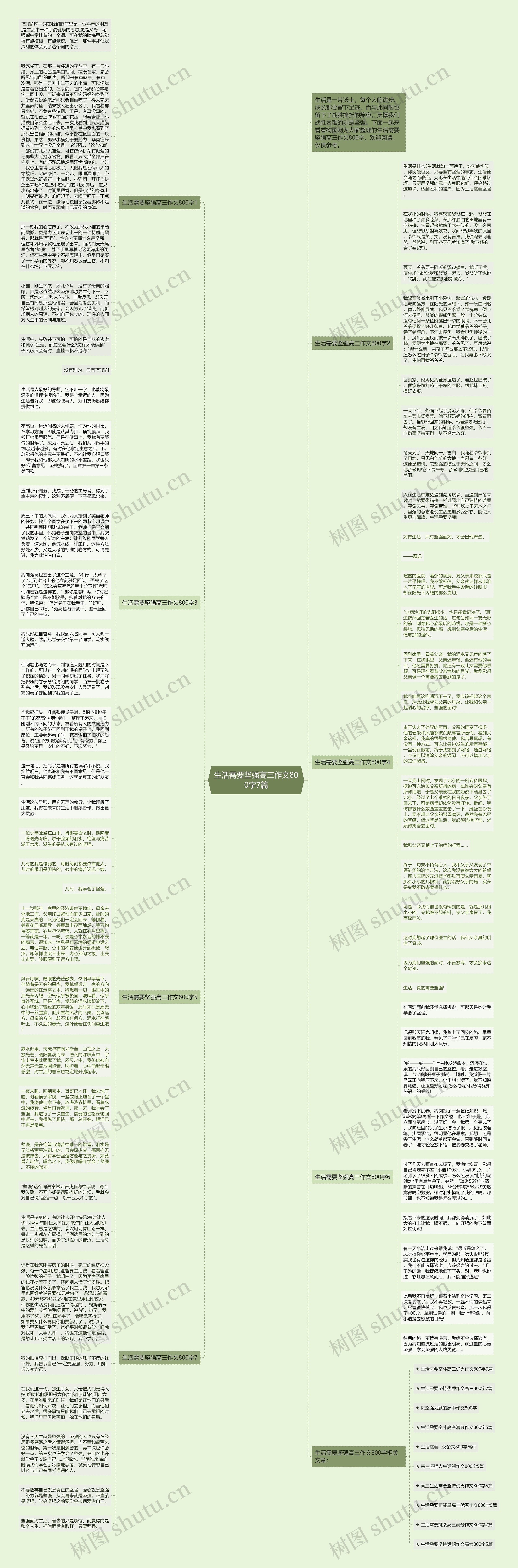 生活需要坚强高三作文800字7篇思维导图