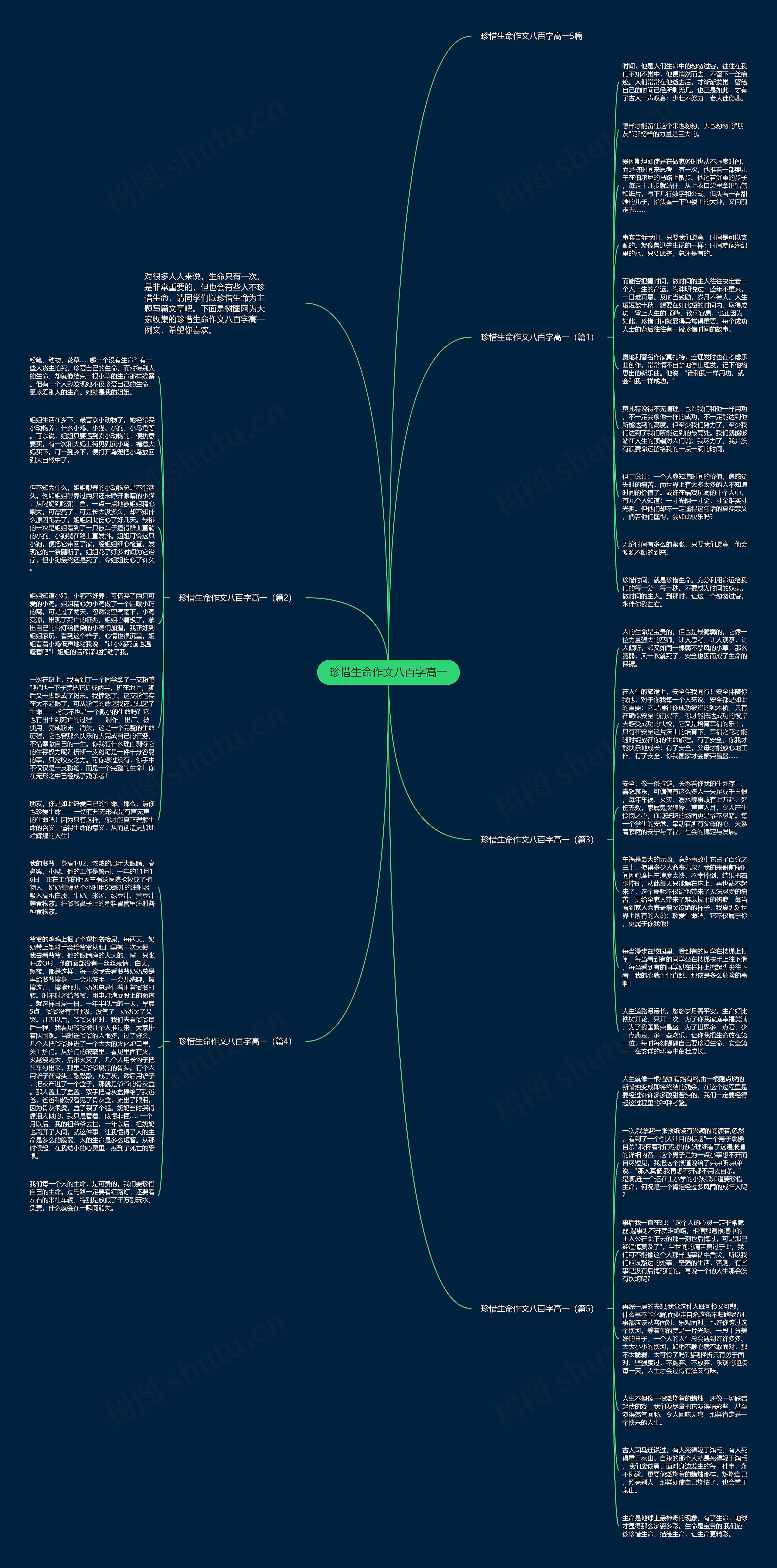 珍惜生命作文八百字高一思维导图