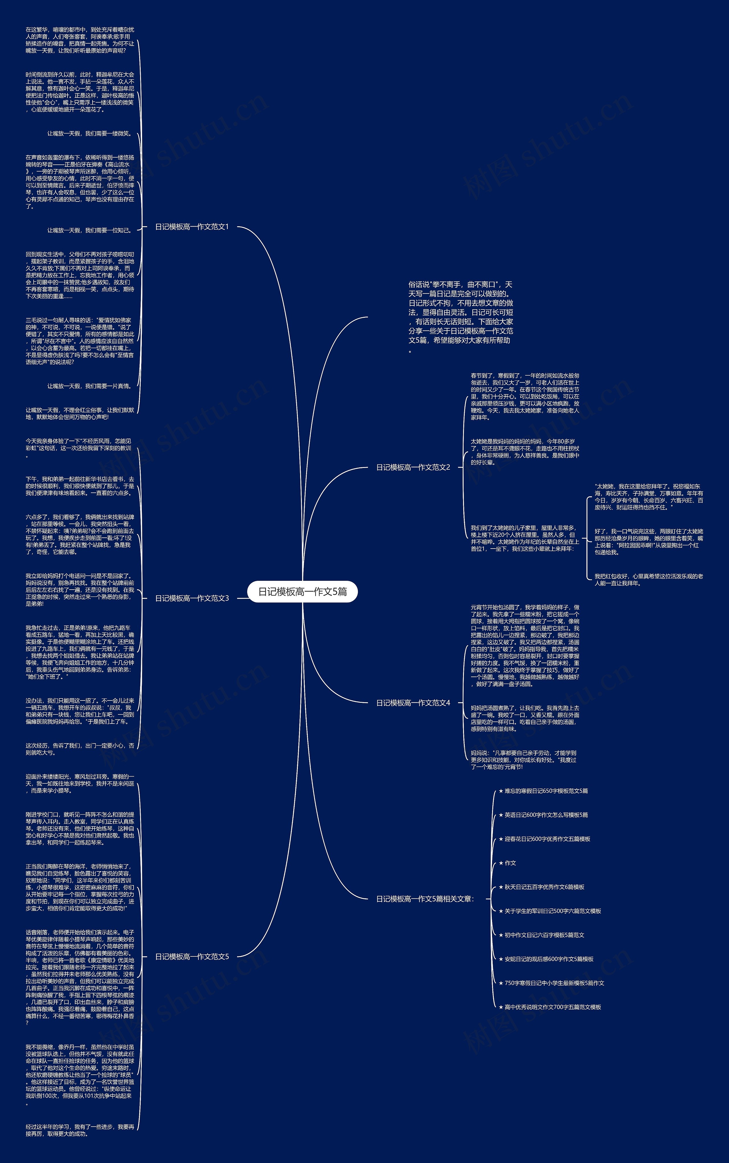 日记高一作文5篇思维导图