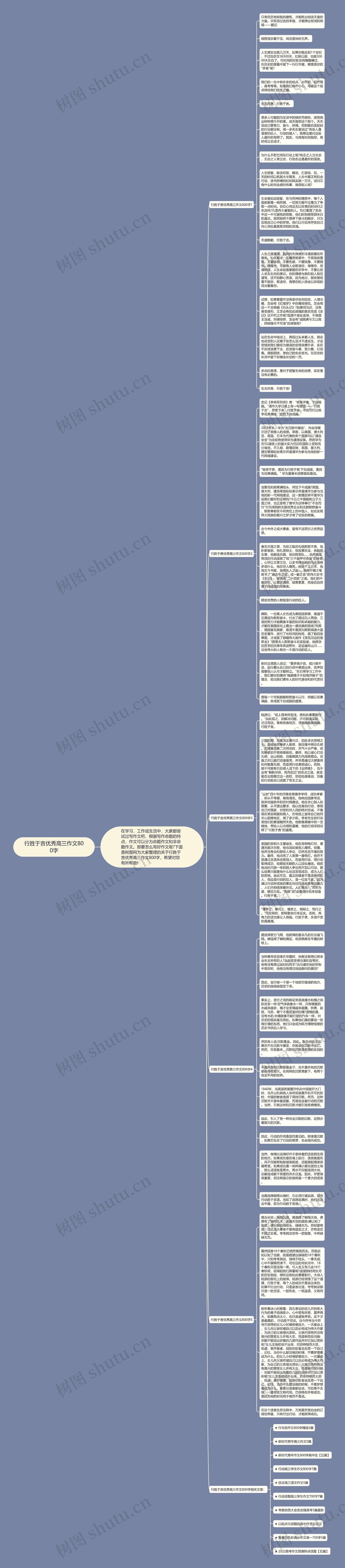 行胜于言优秀高三作文800字思维导图