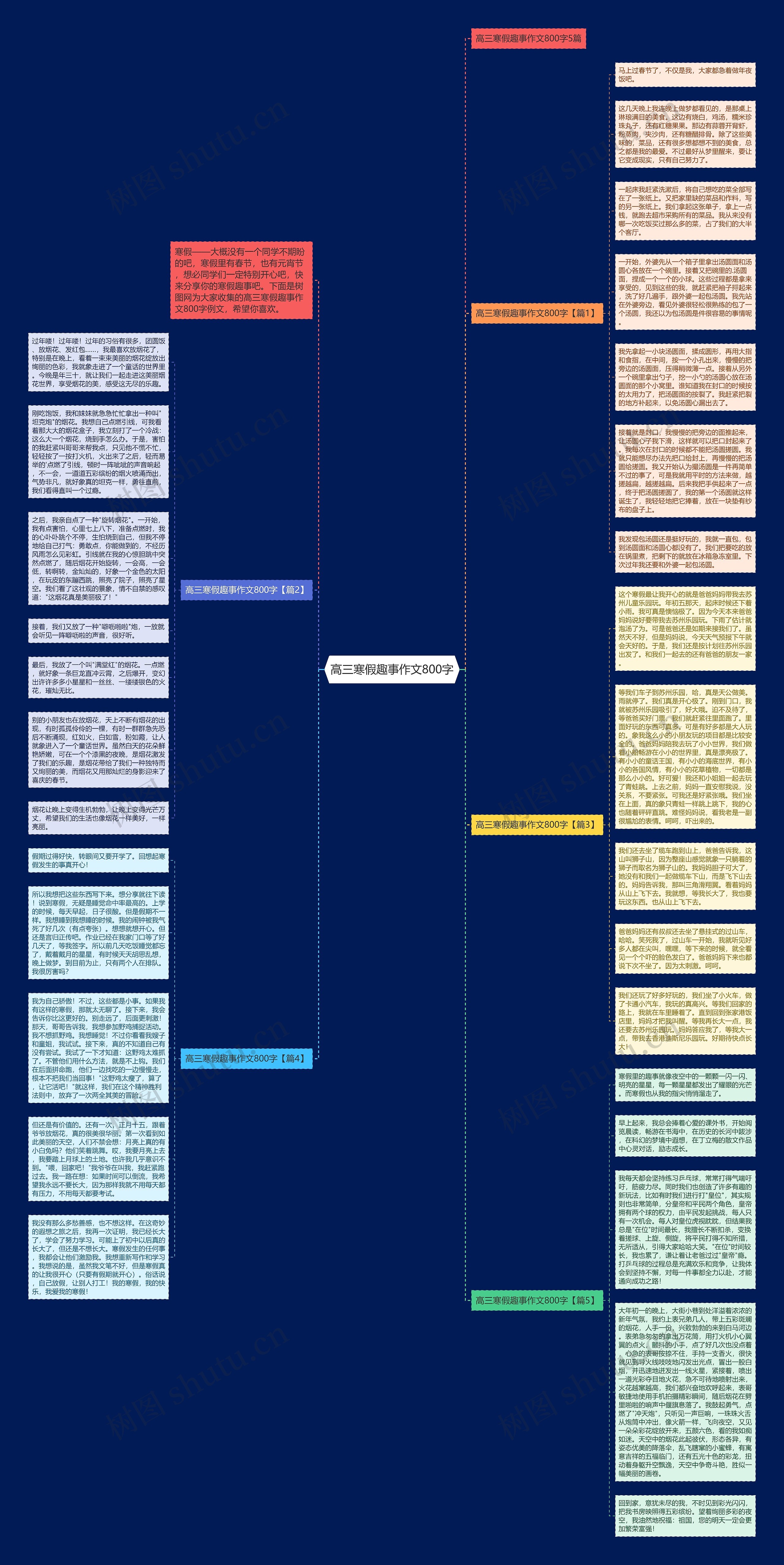 高三寒假趣事作文800字