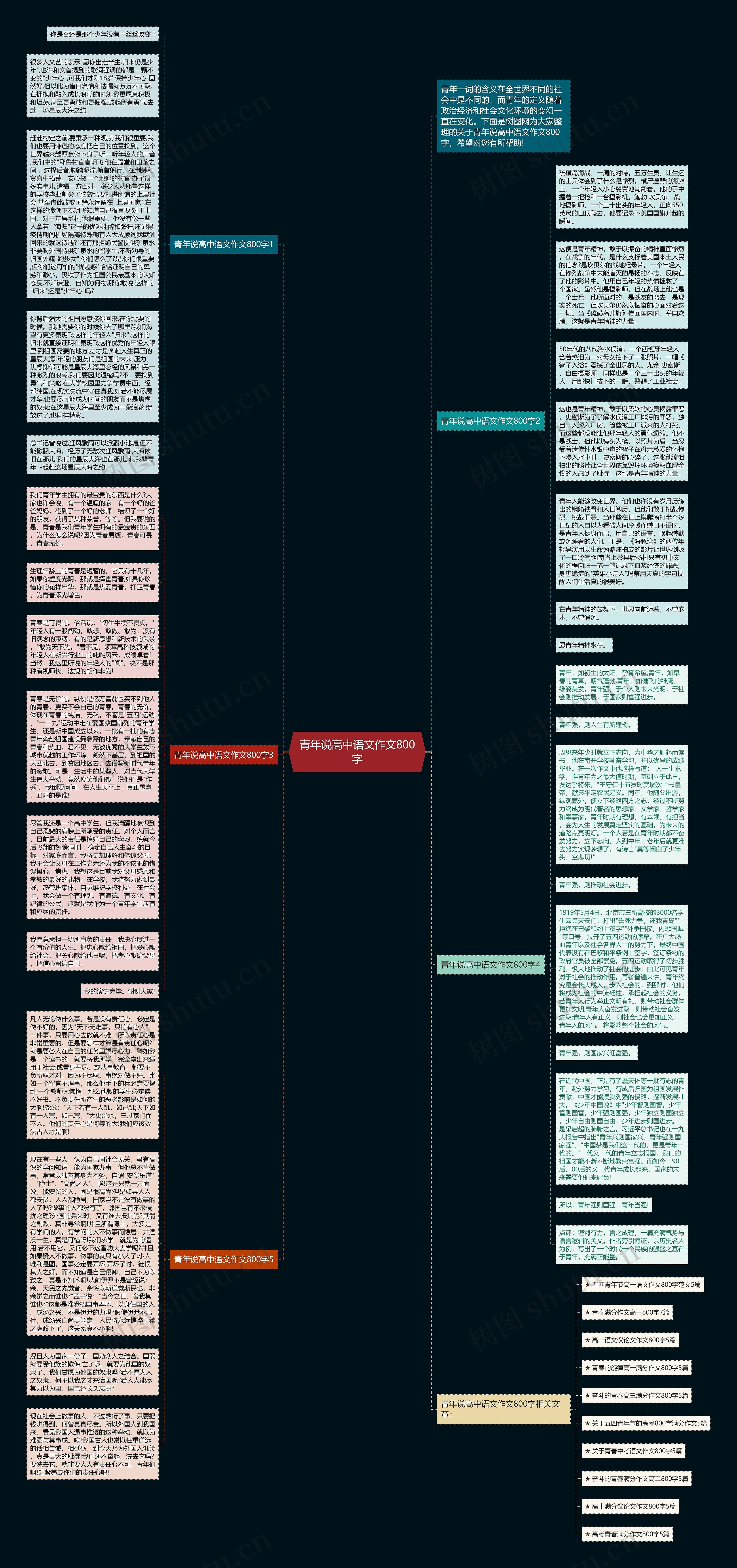 青年说高中语文作文800字思维导图