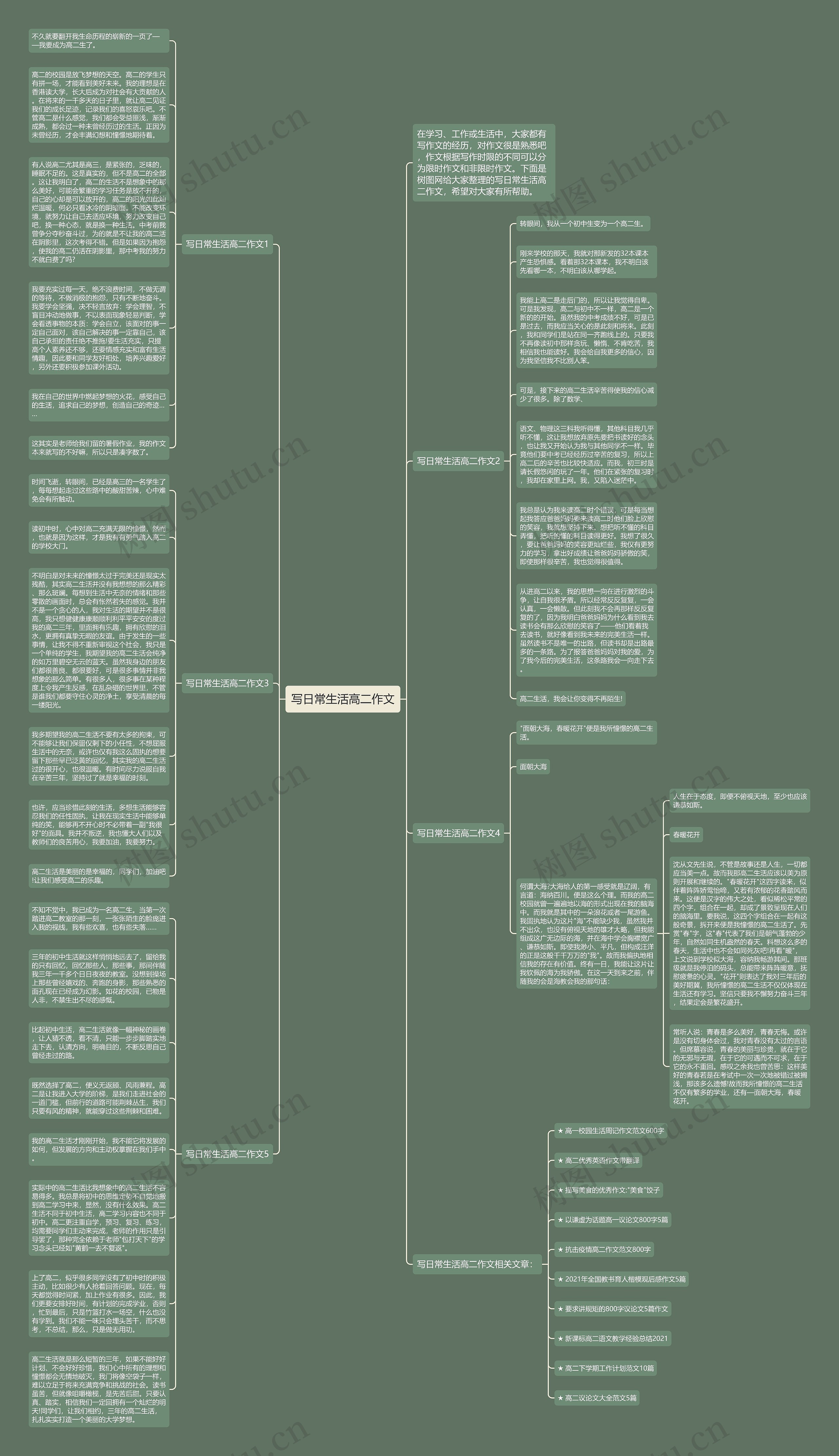 写日常生活高二作文思维导图