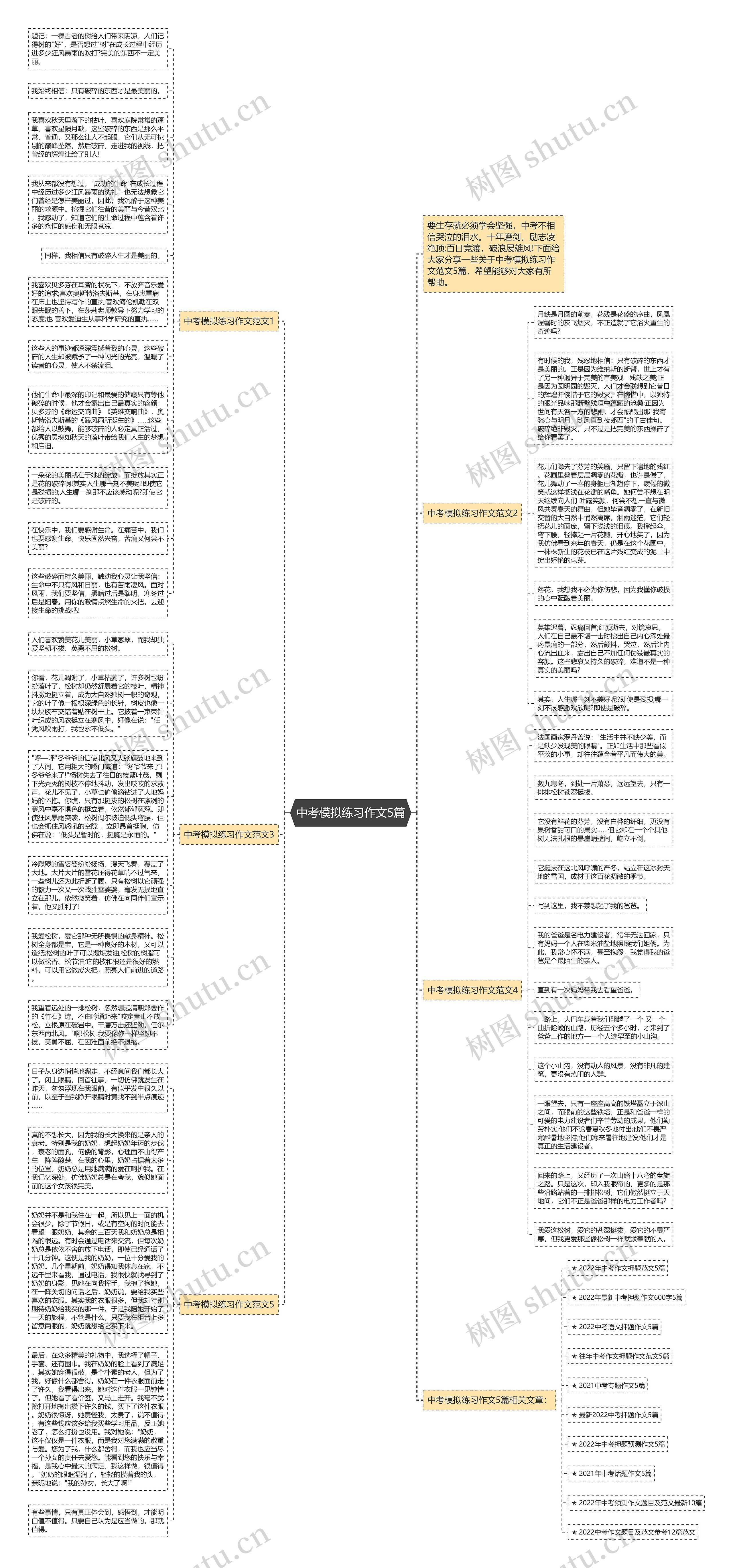 中考模拟练习作文5篇