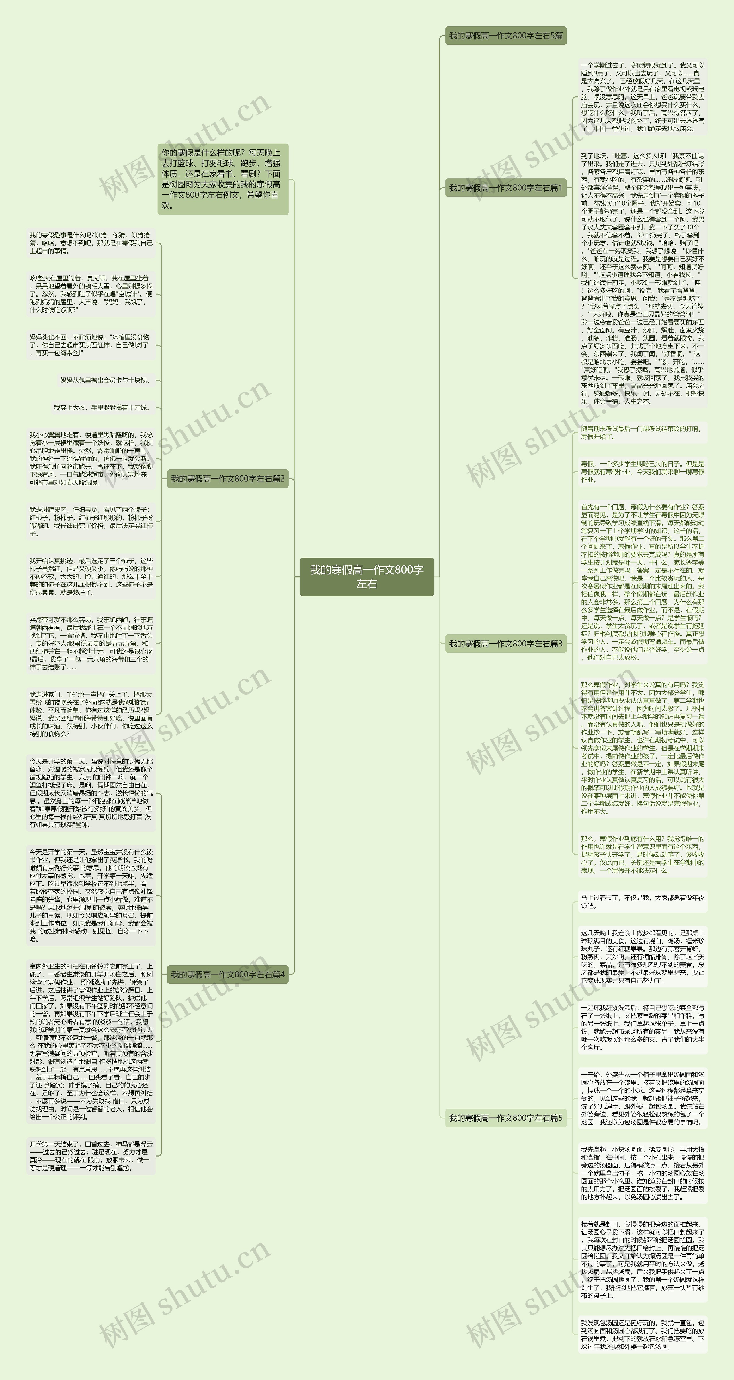我的寒假高一作文800字左右思维导图