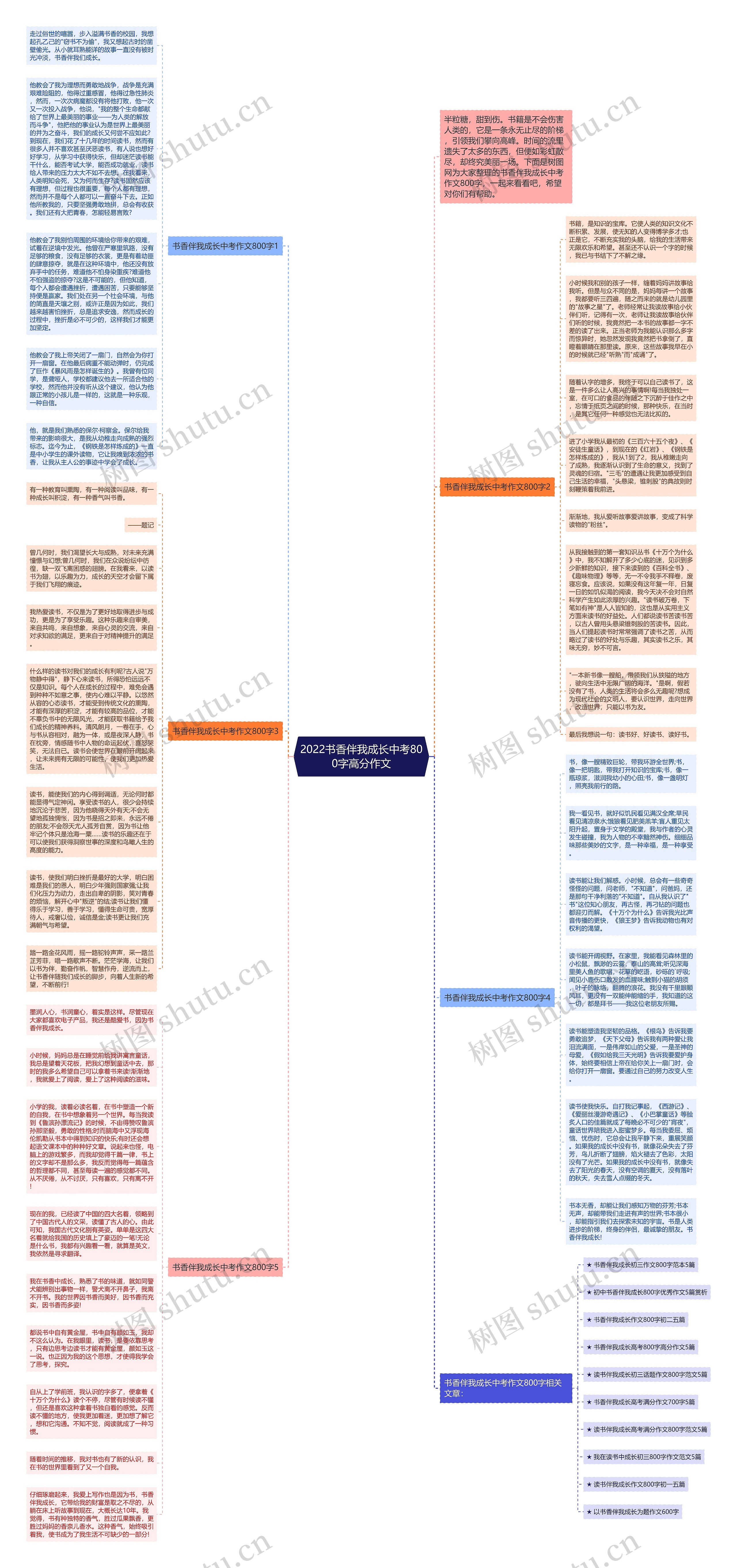 2022书香伴我成长中考800字高分作文思维导图