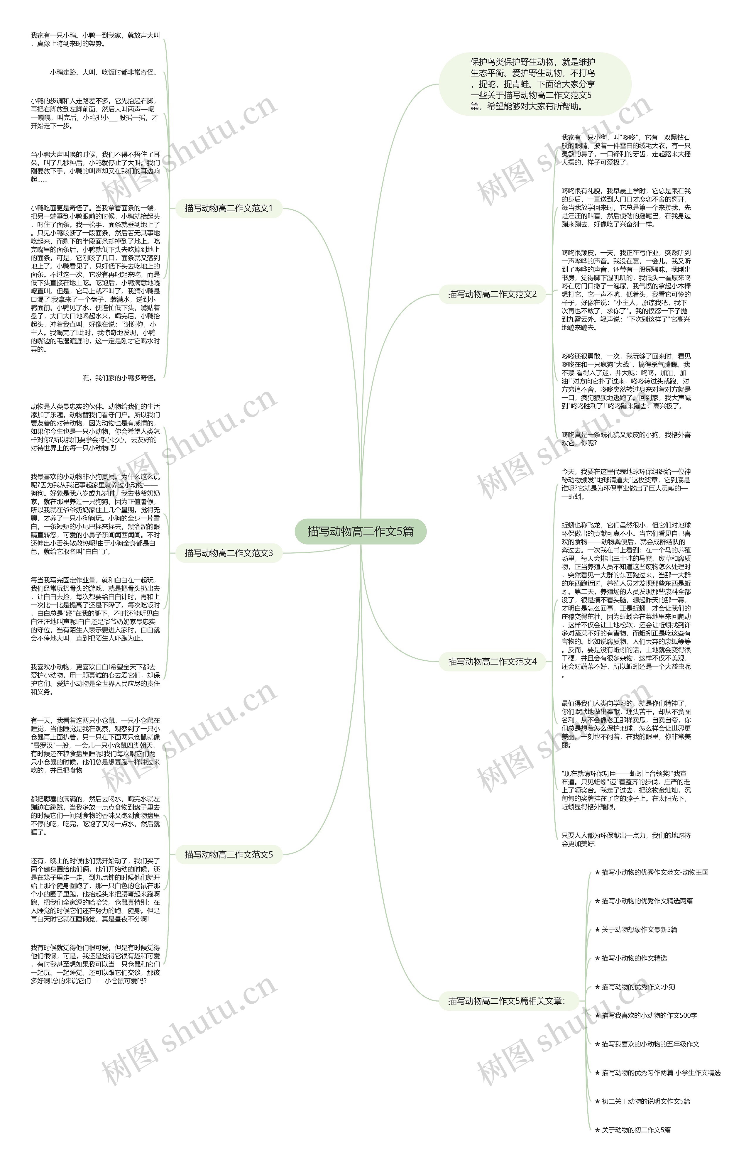 描写动物高二作文5篇思维导图