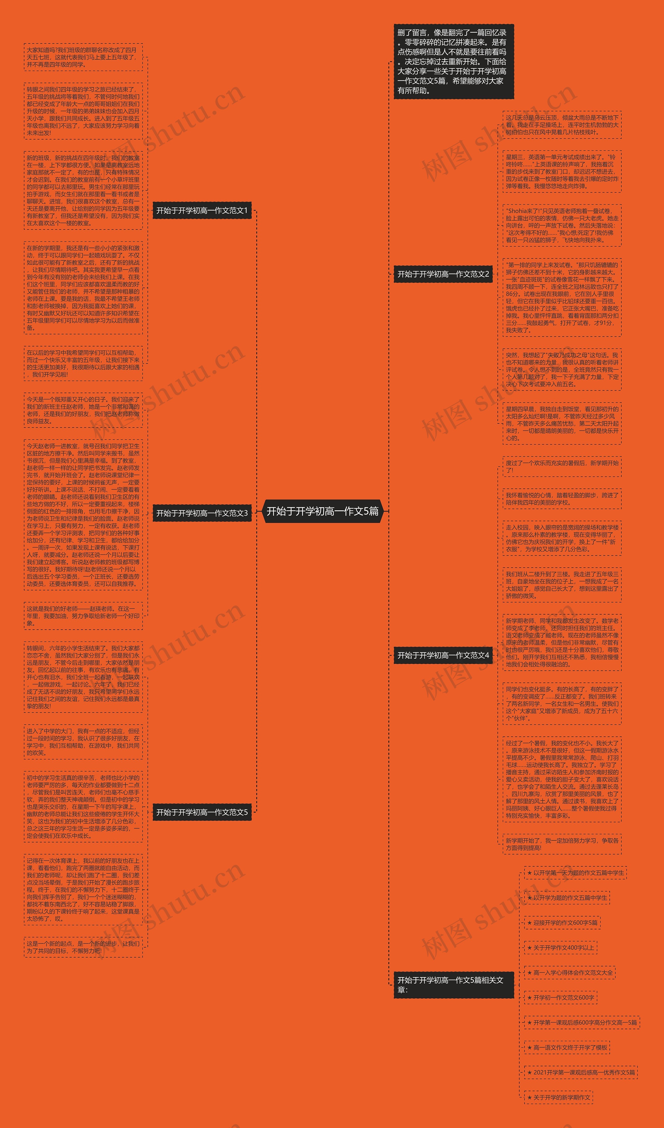 开始于开学初高一作文5篇思维导图