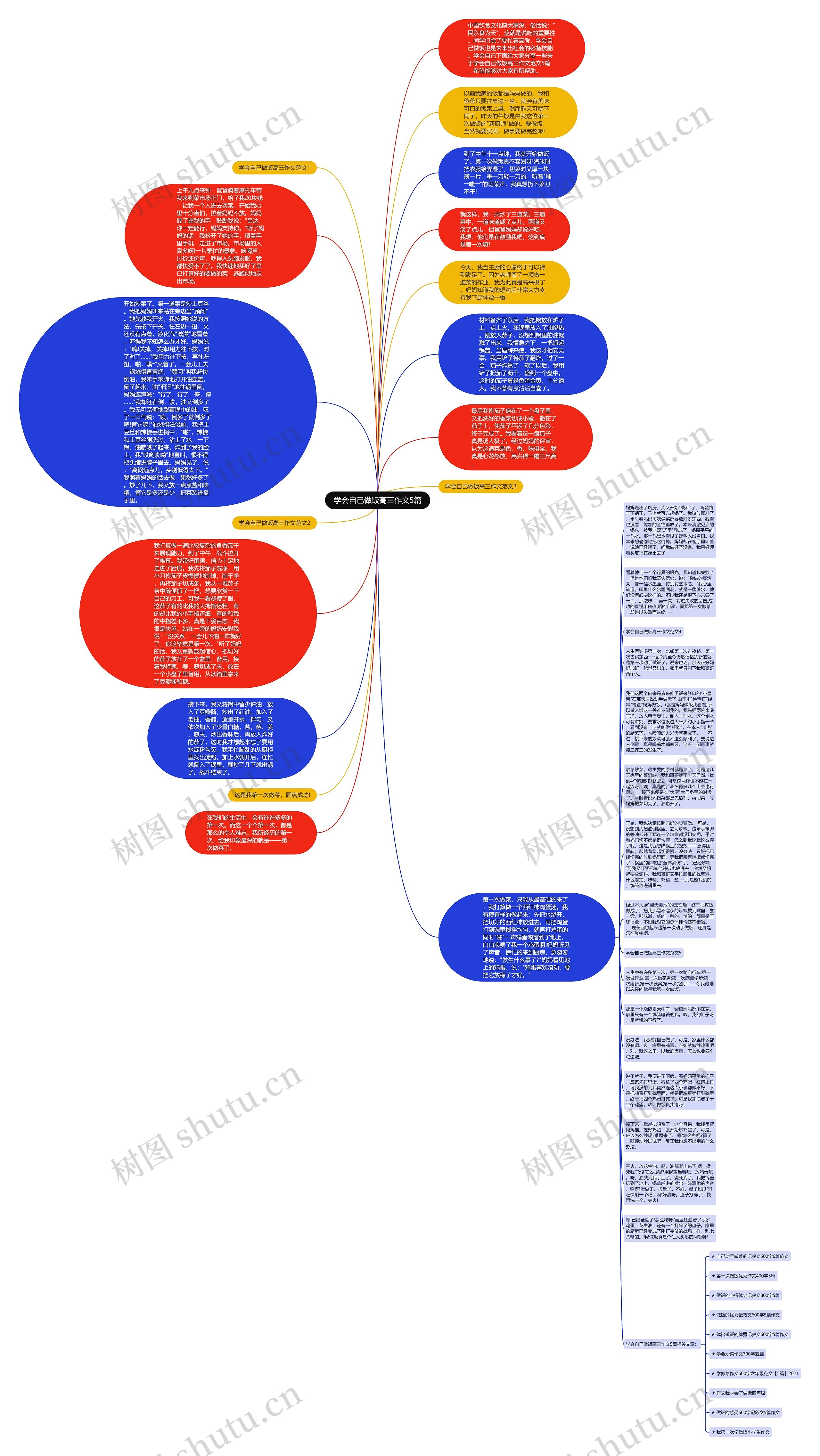 学会自己做饭高三作文5篇思维导图
