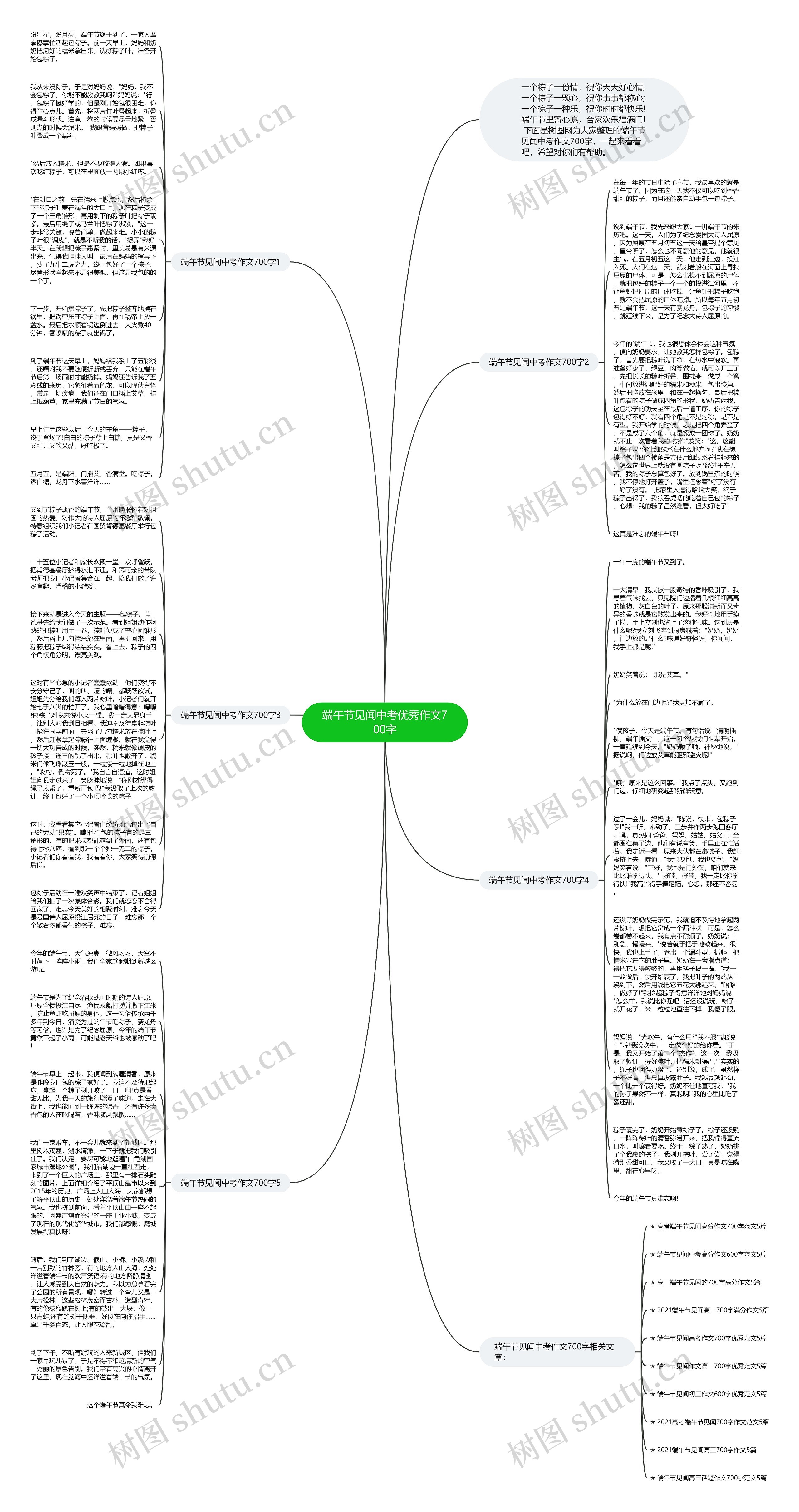端午节见闻中考优秀作文700字思维导图
