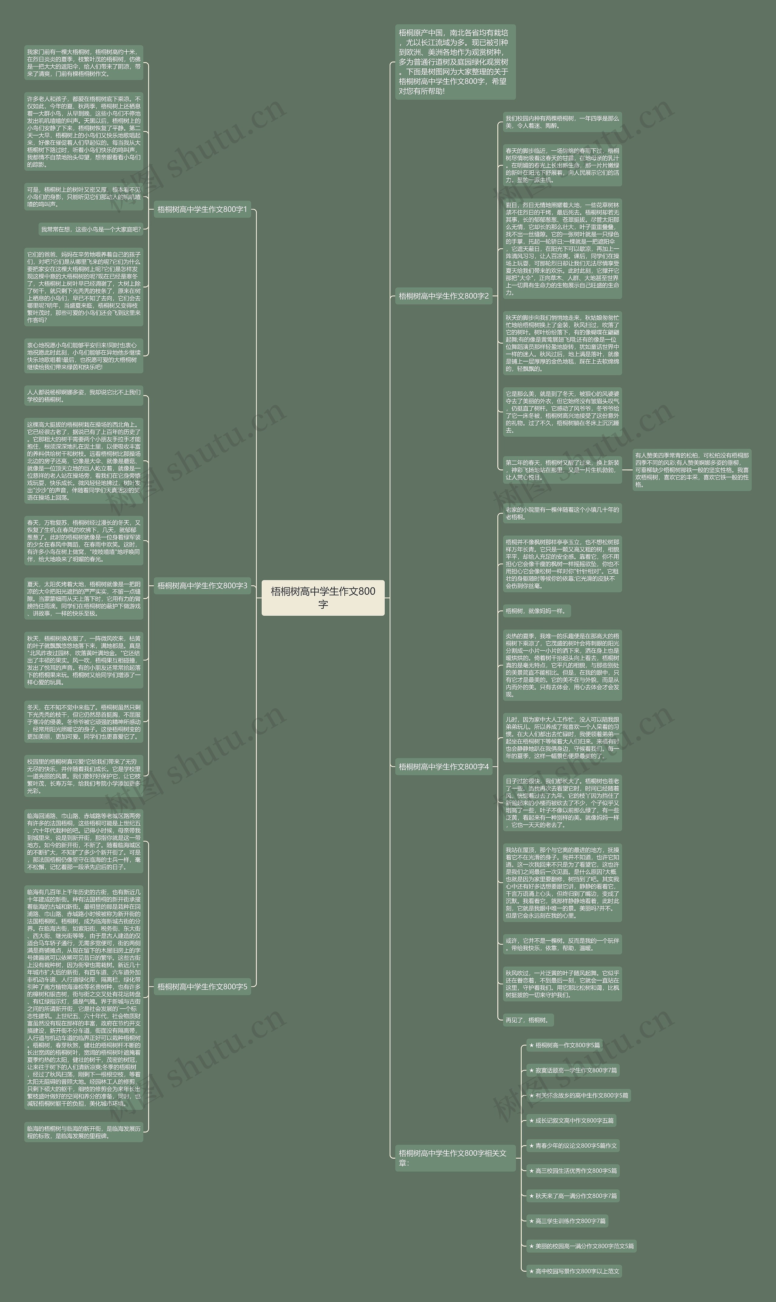 梧桐树高中学生作文800字思维导图