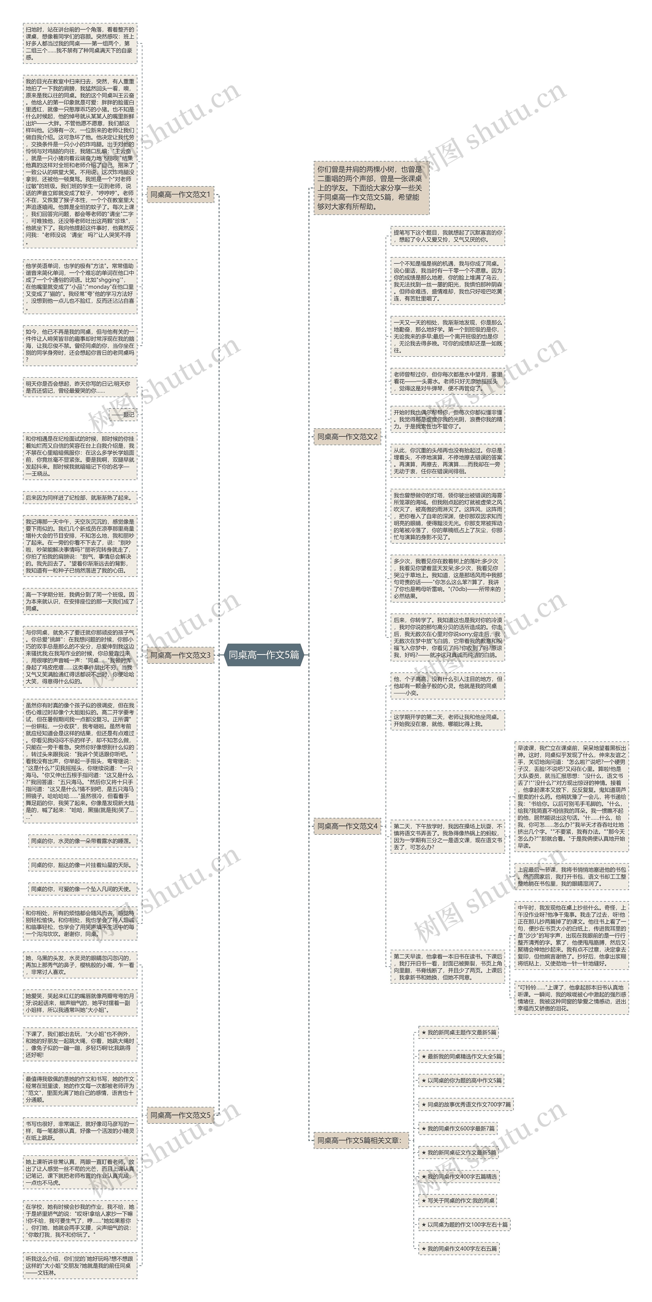 同桌高一作文5篇思维导图