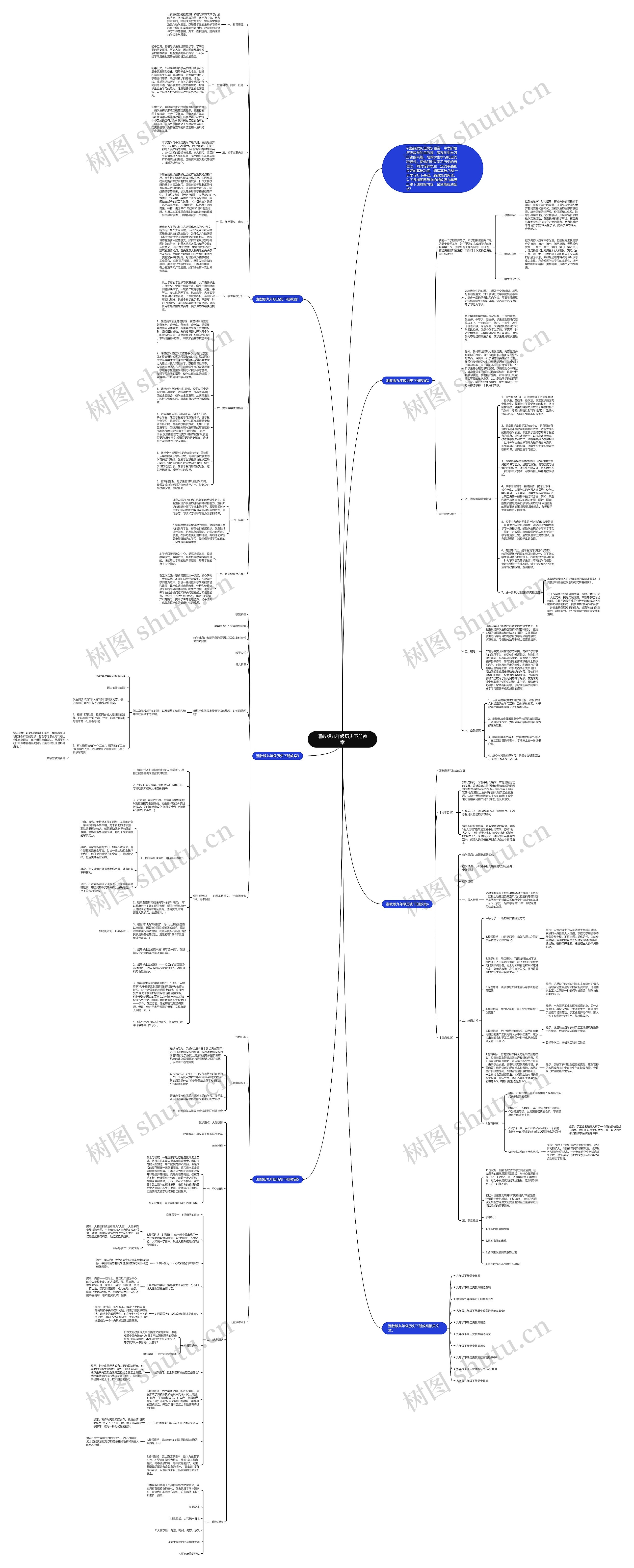湘教版九年级历史下册教案