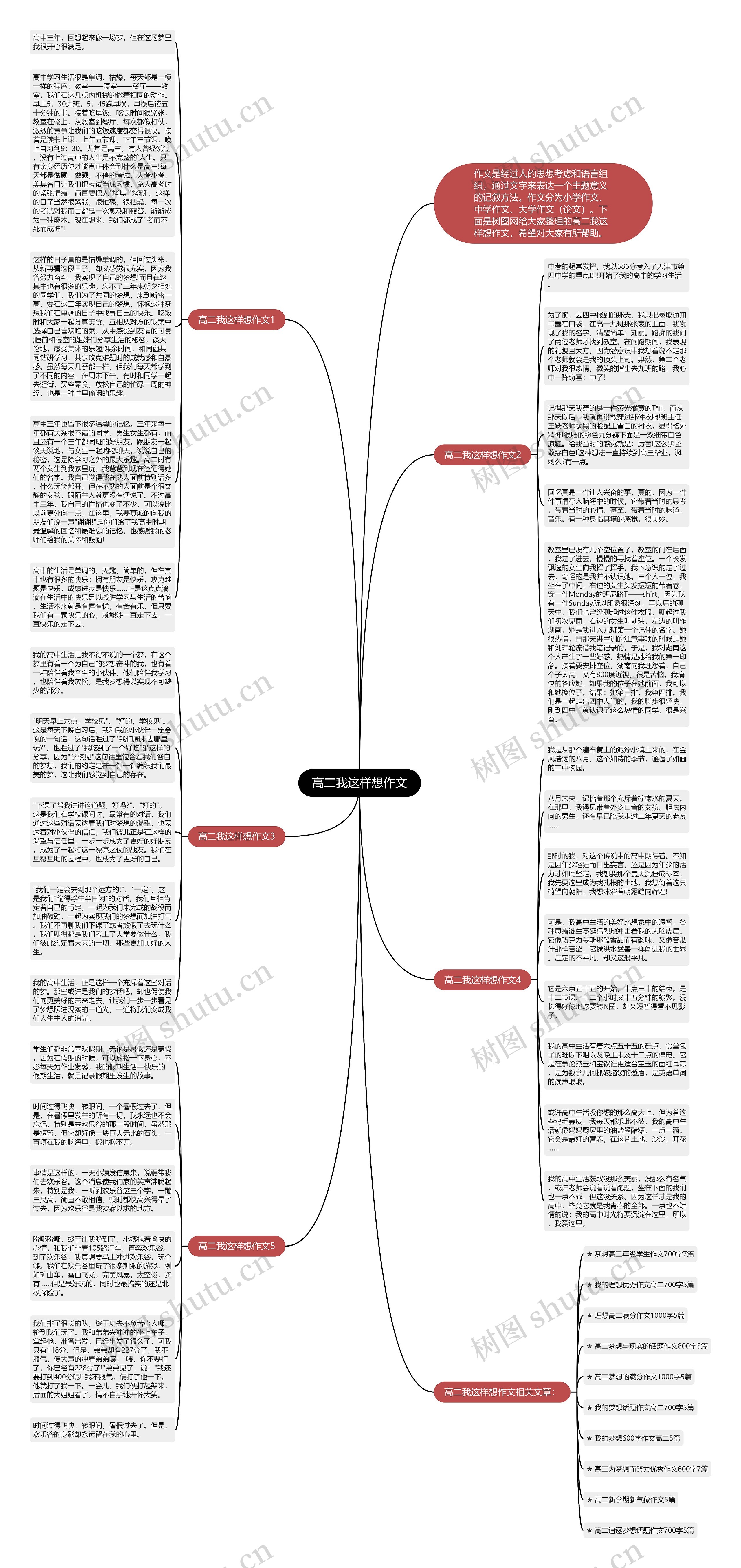 高二我这样想作文思维导图