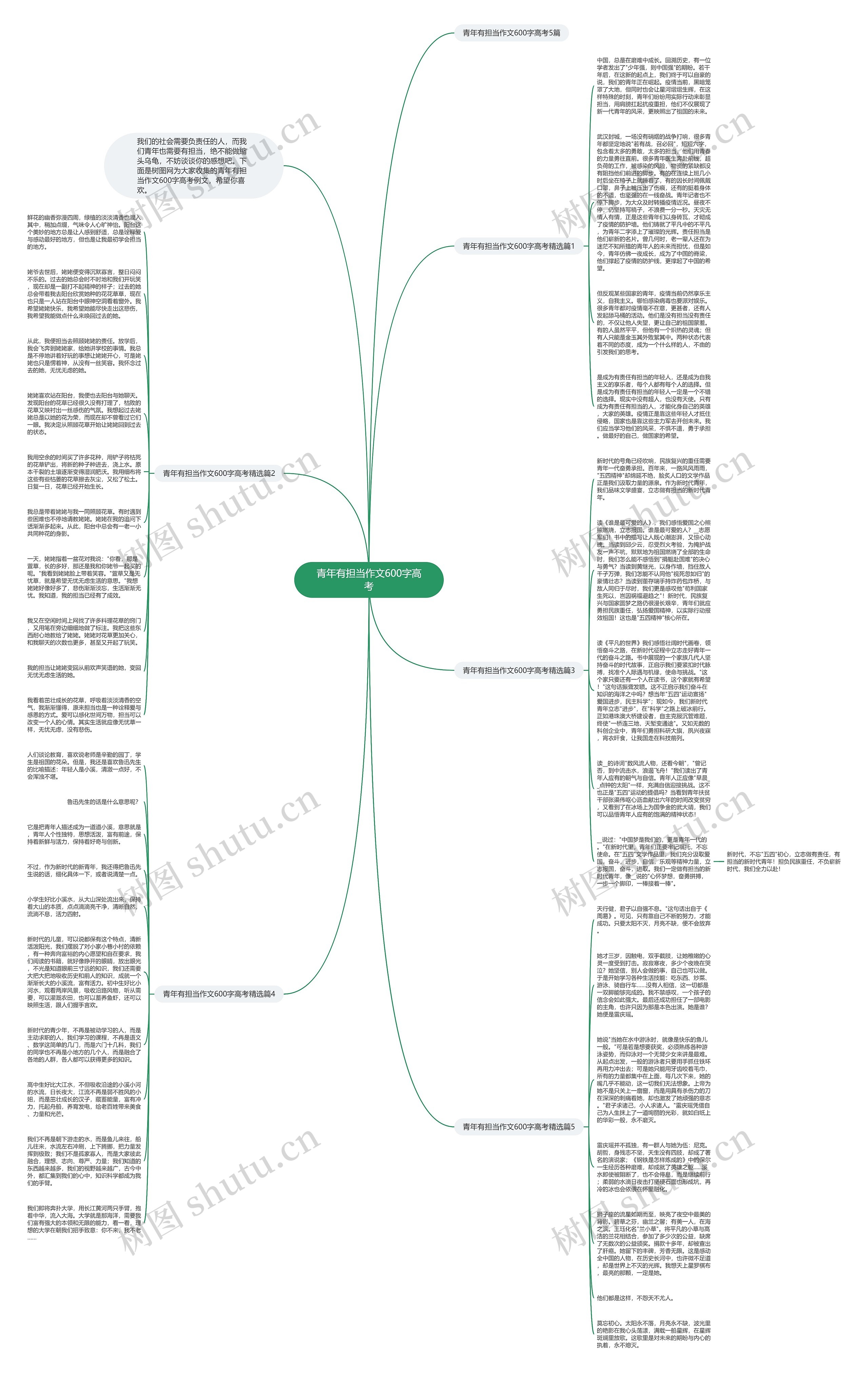 青年有担当作文600字高考思维导图