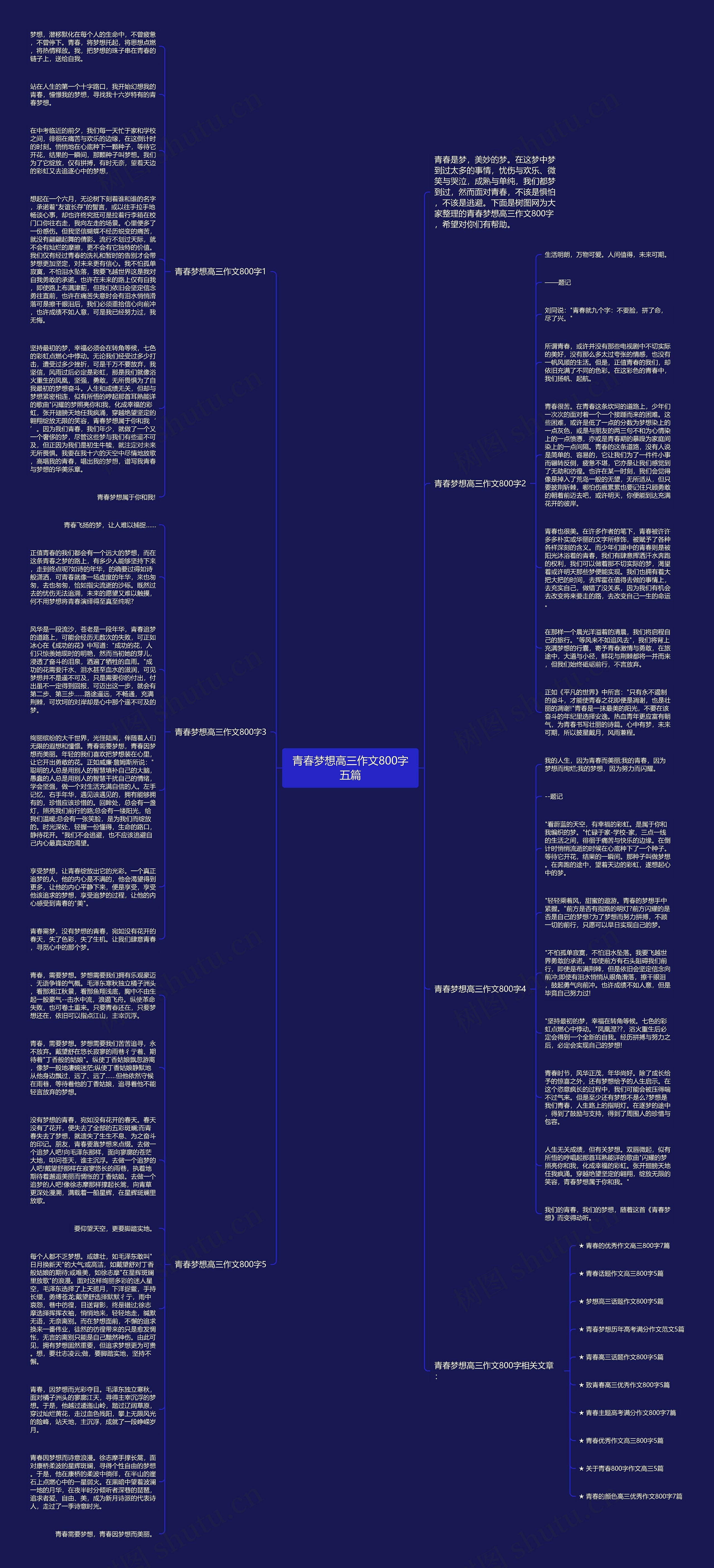 青春梦想高三作文800字五篇思维导图