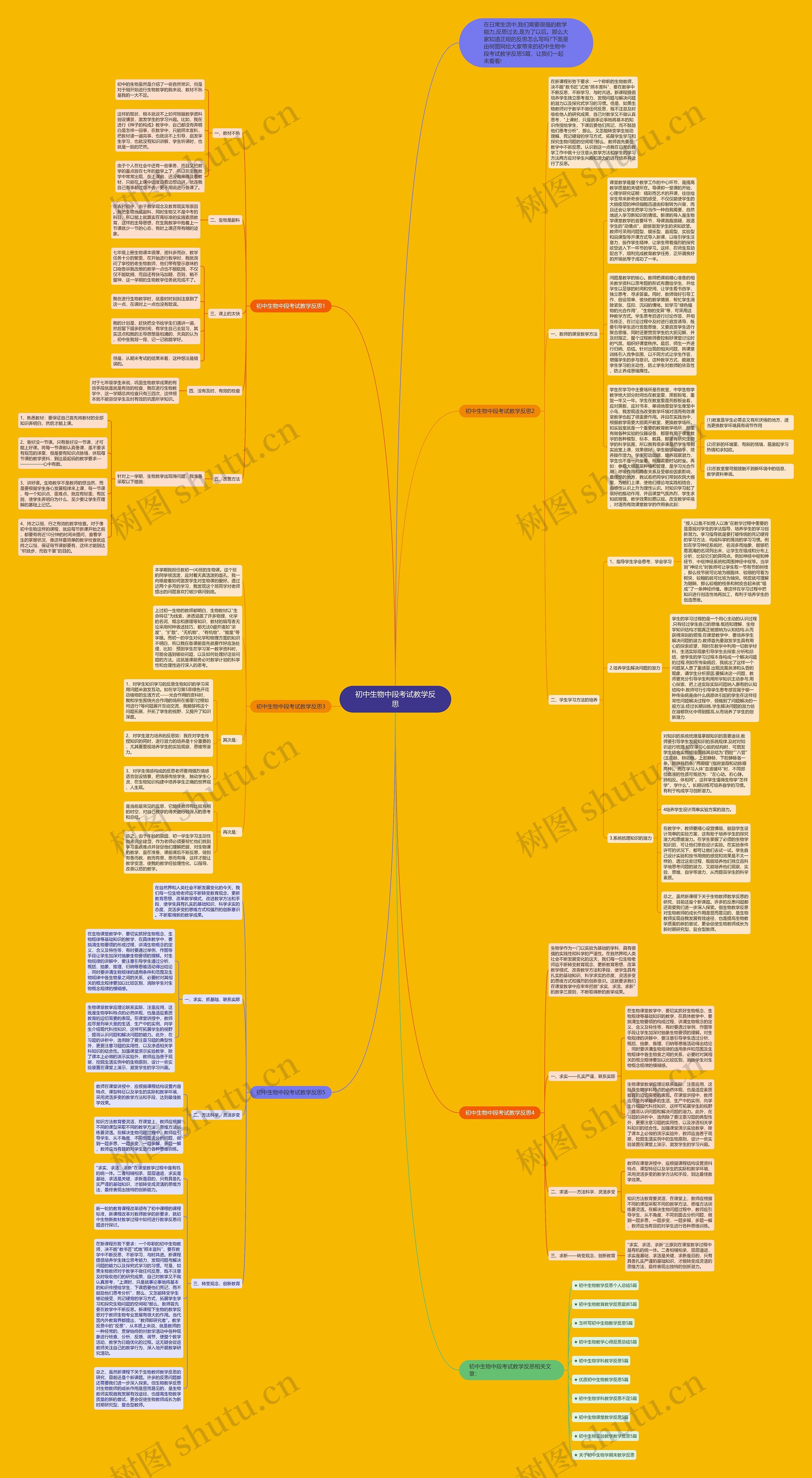 初中生物中段考试教学反思思维导图
