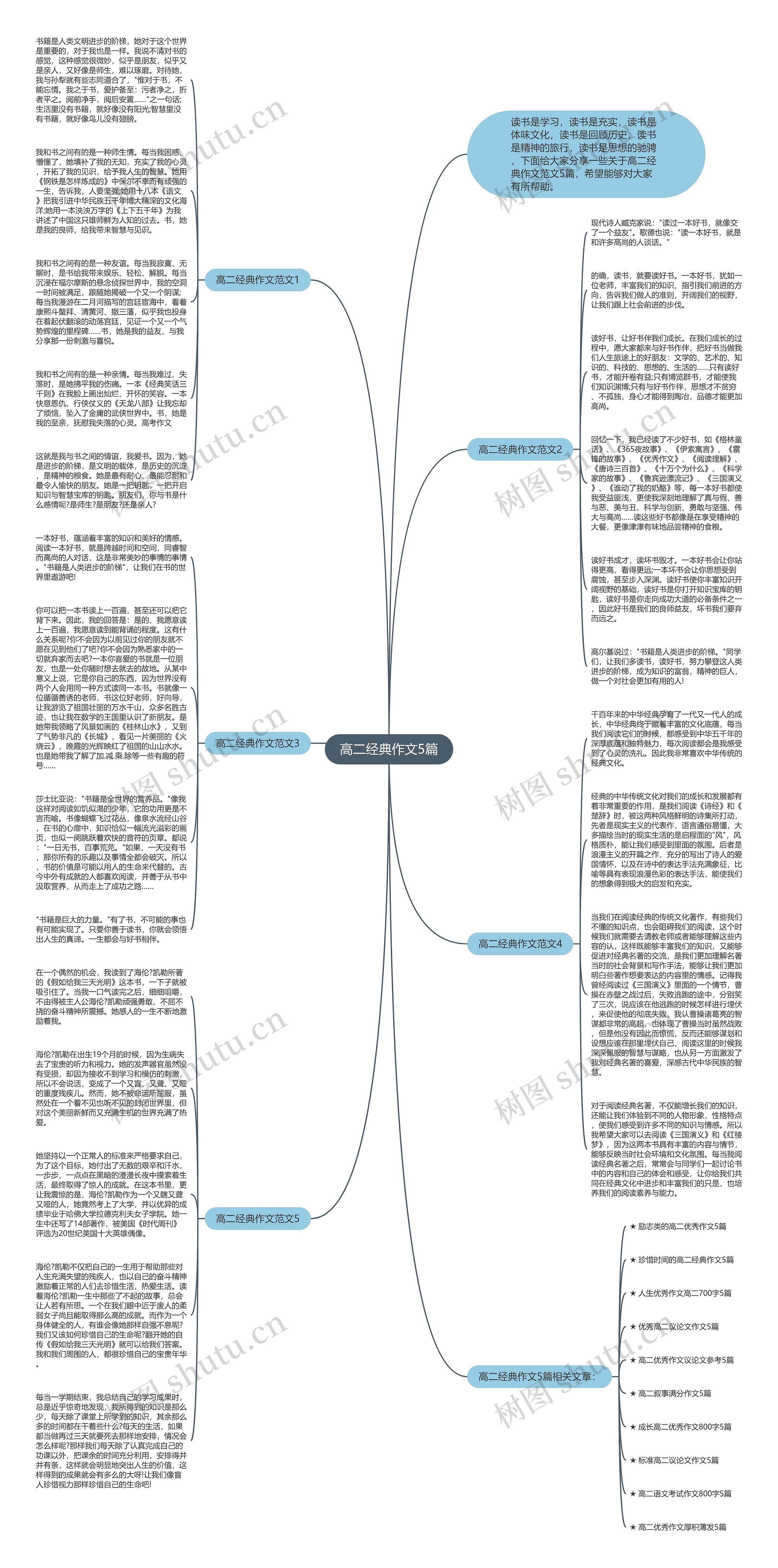 高二经典作文5篇思维导图