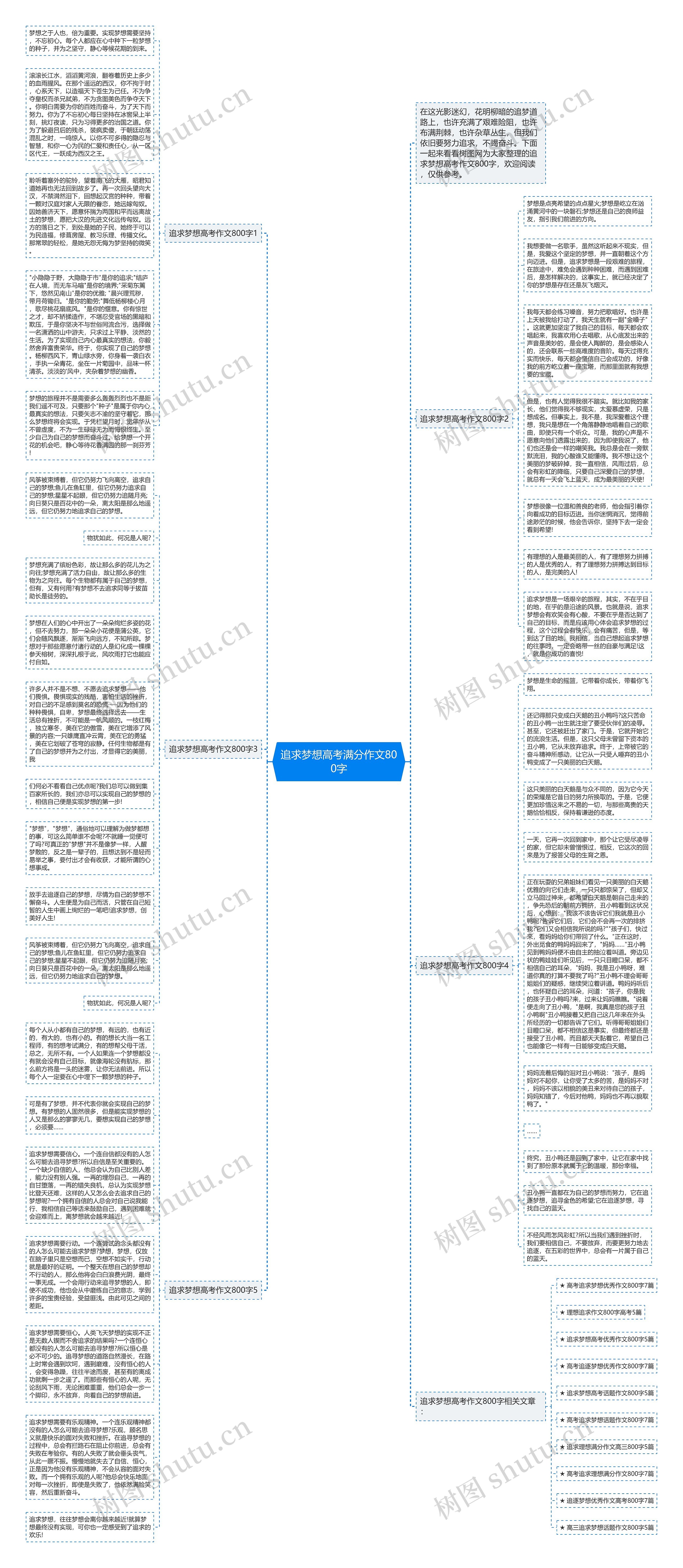 追求梦想高考满分作文800字思维导图