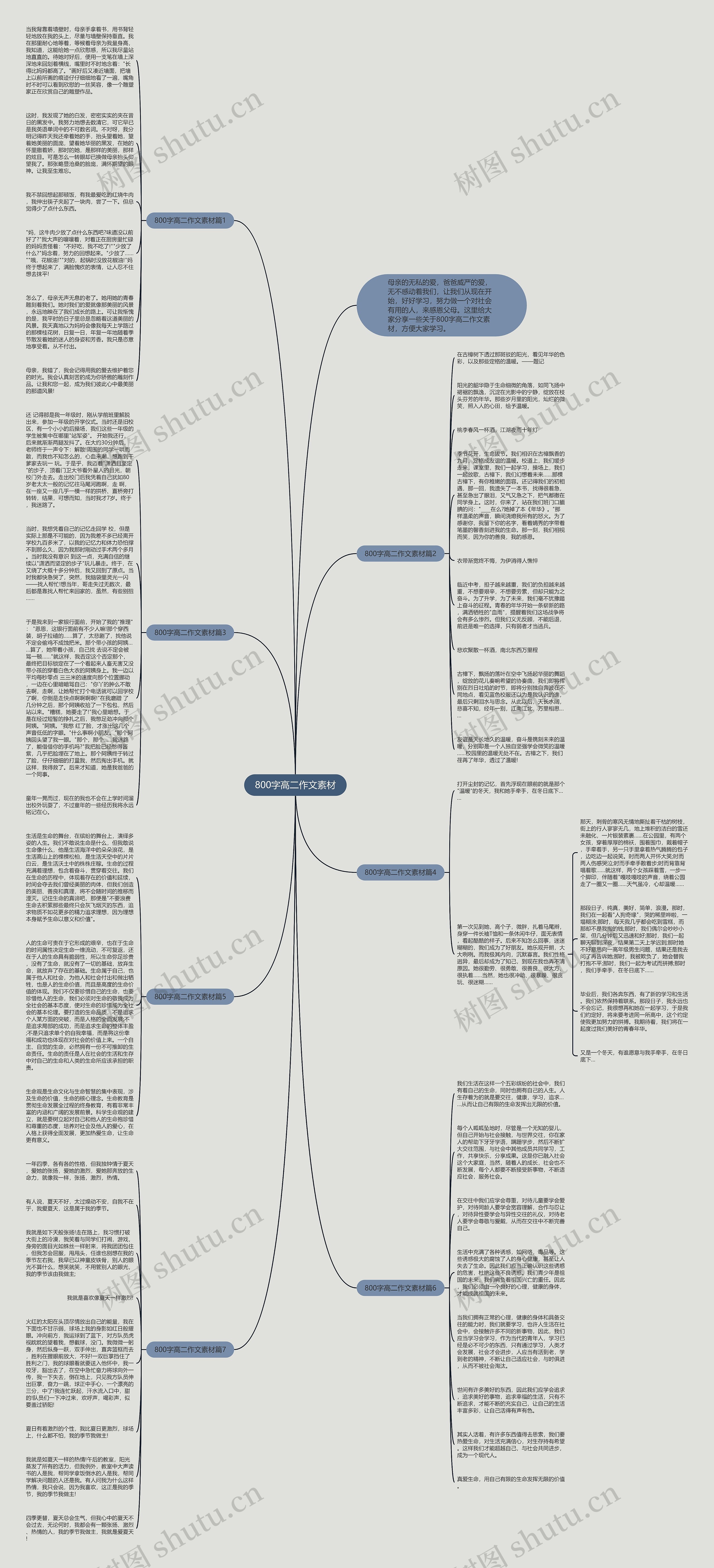800字高二作文素材思维导图