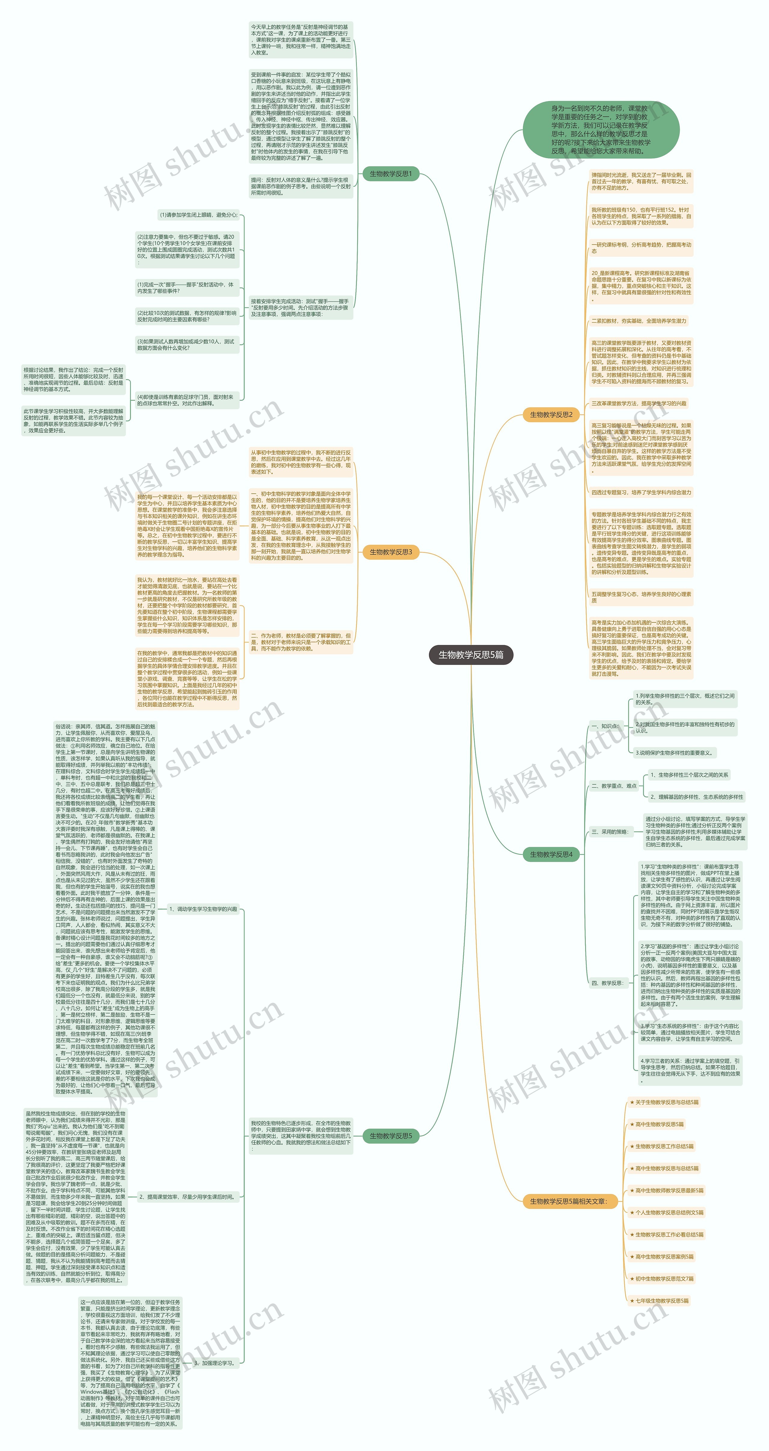 生物教学反思5篇思维导图高清图 生物教学反思5篇思维导图