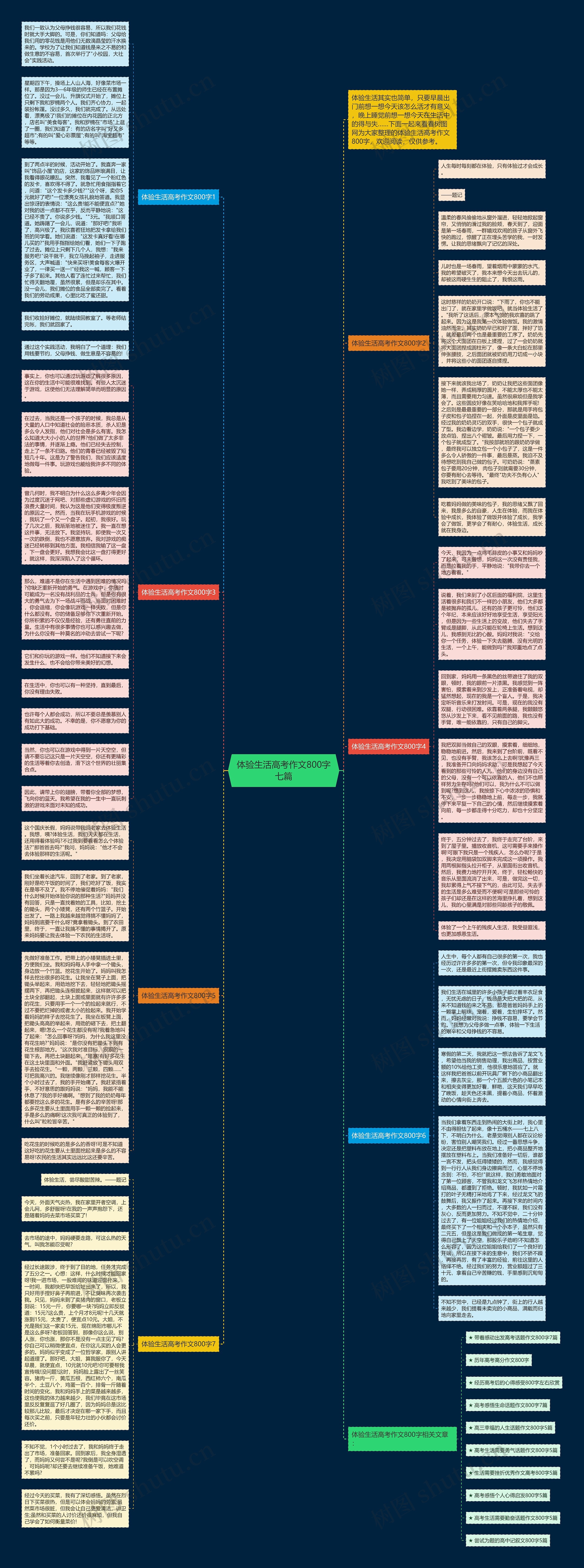 体验生活高考作文800字七篇思维导图