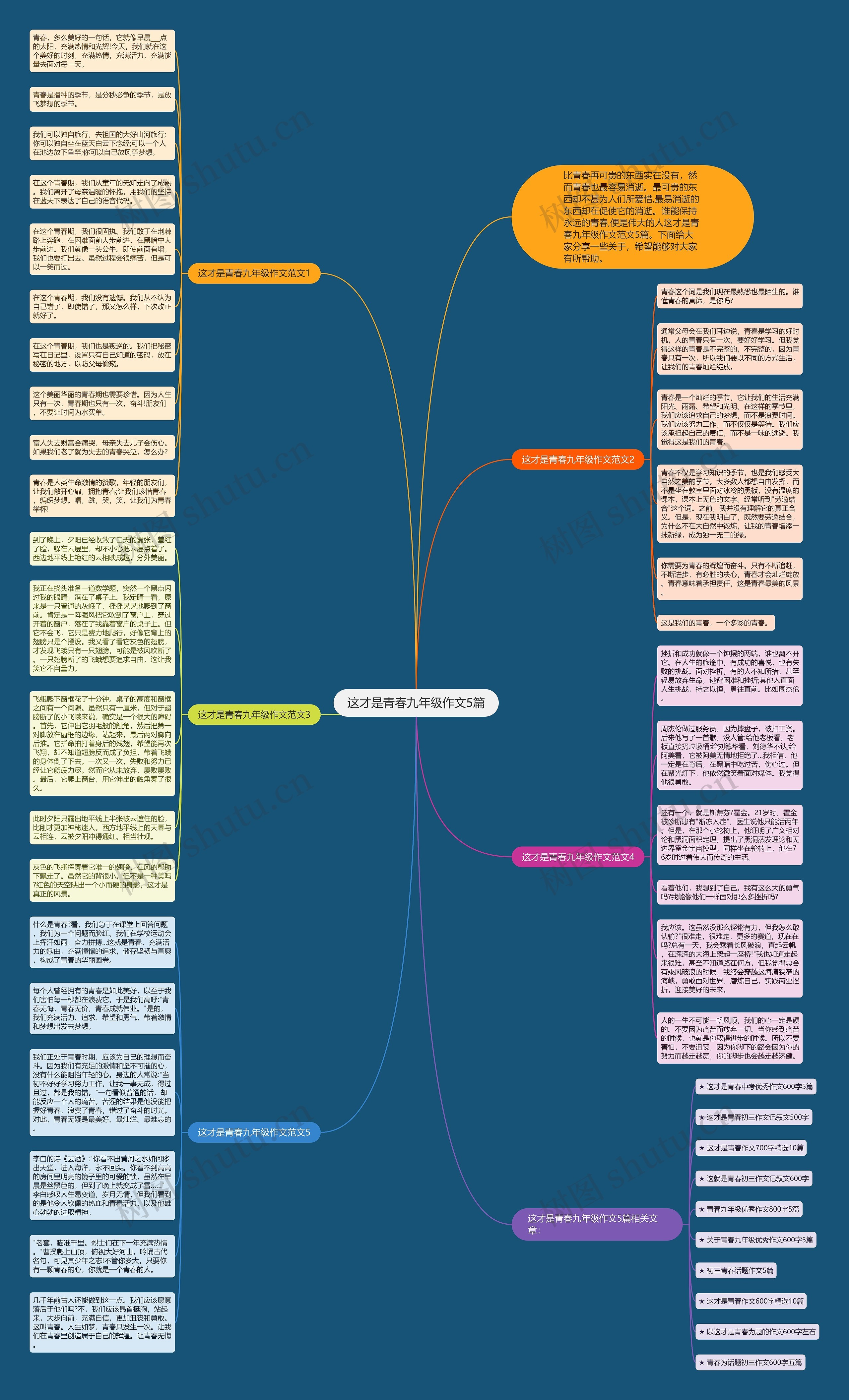 这才是青春九年级作文5篇思维导图