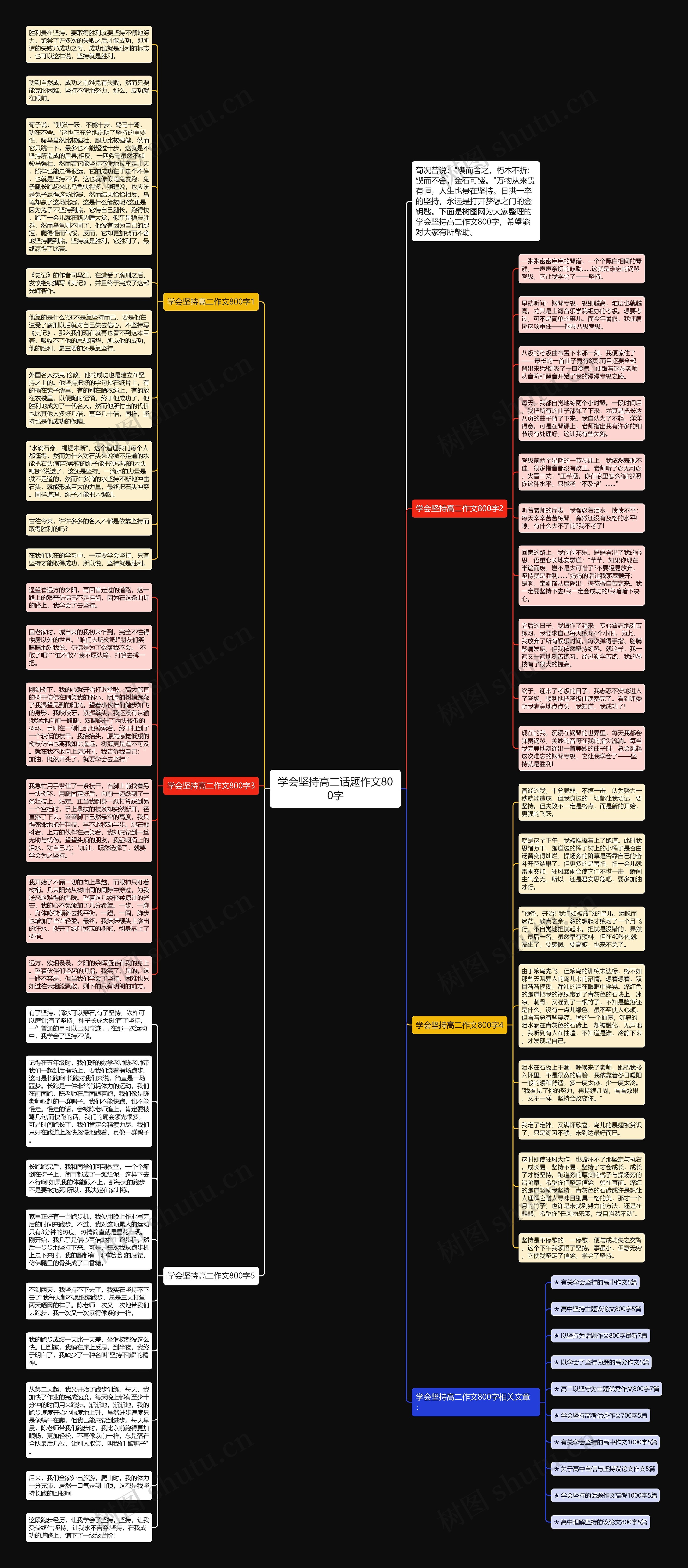 学会坚持高二话题作文800字思维导图