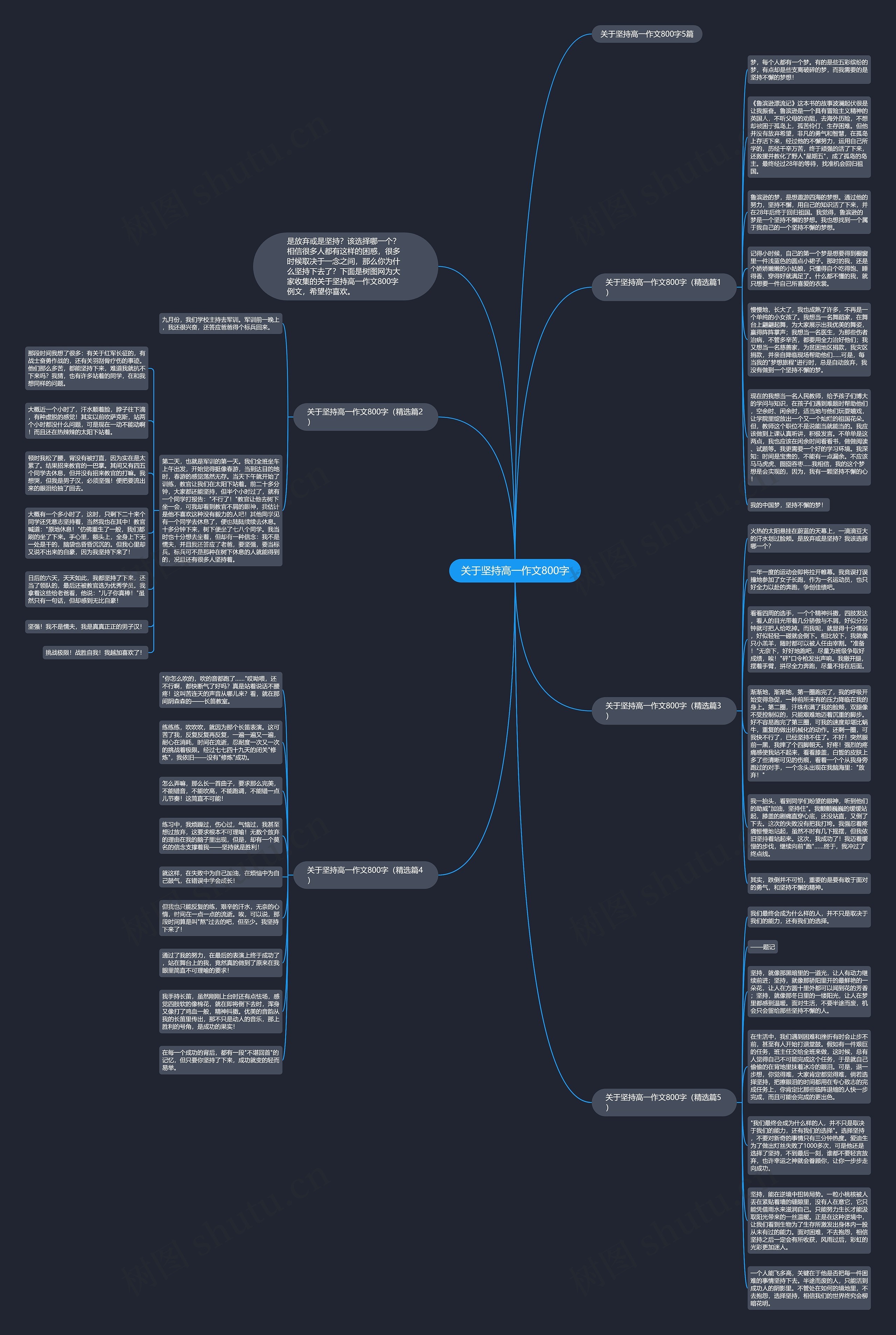 关于坚持高一作文800字思维导图