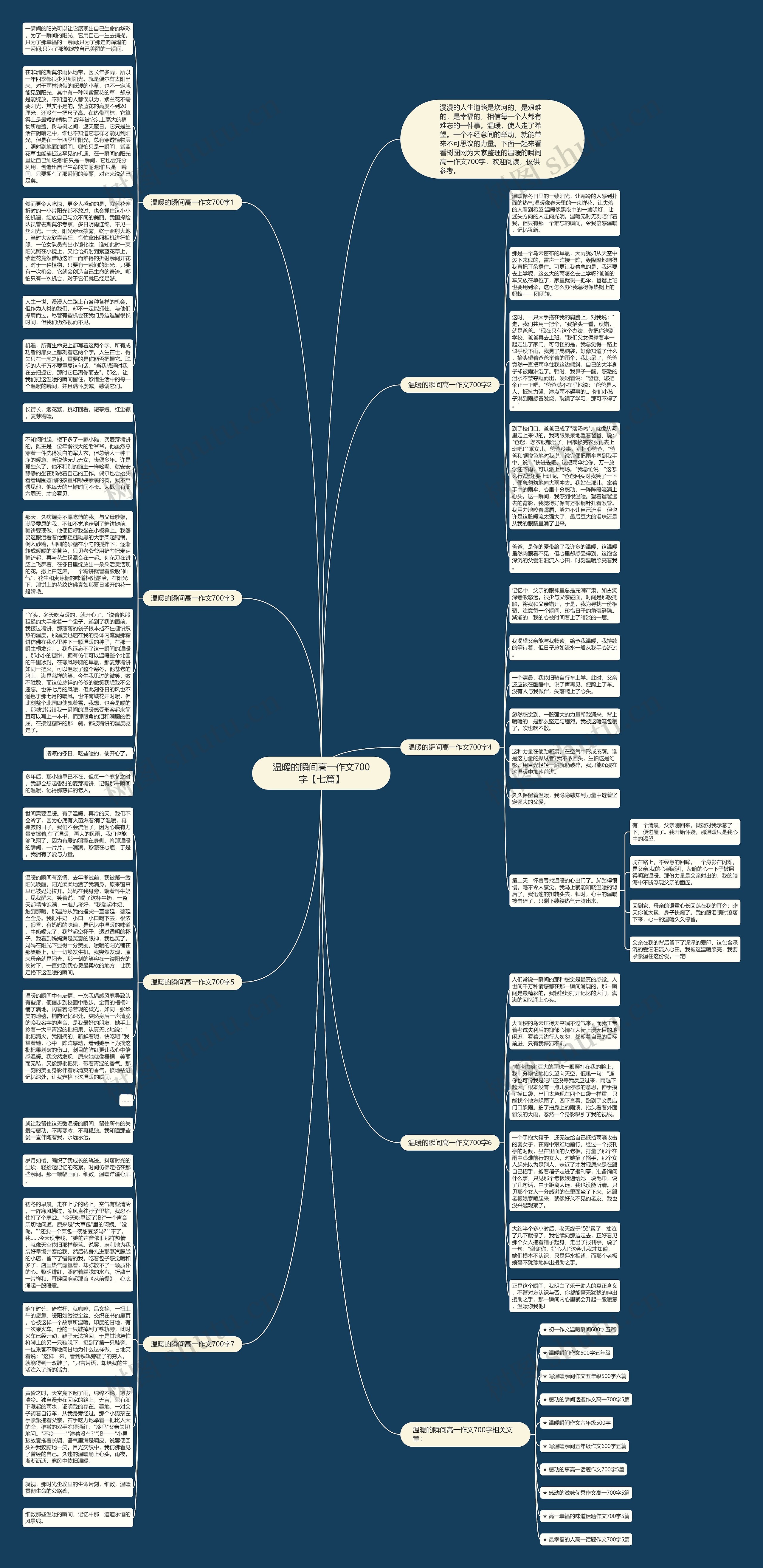 温暖的瞬间高一作文700字【七篇】思维导图