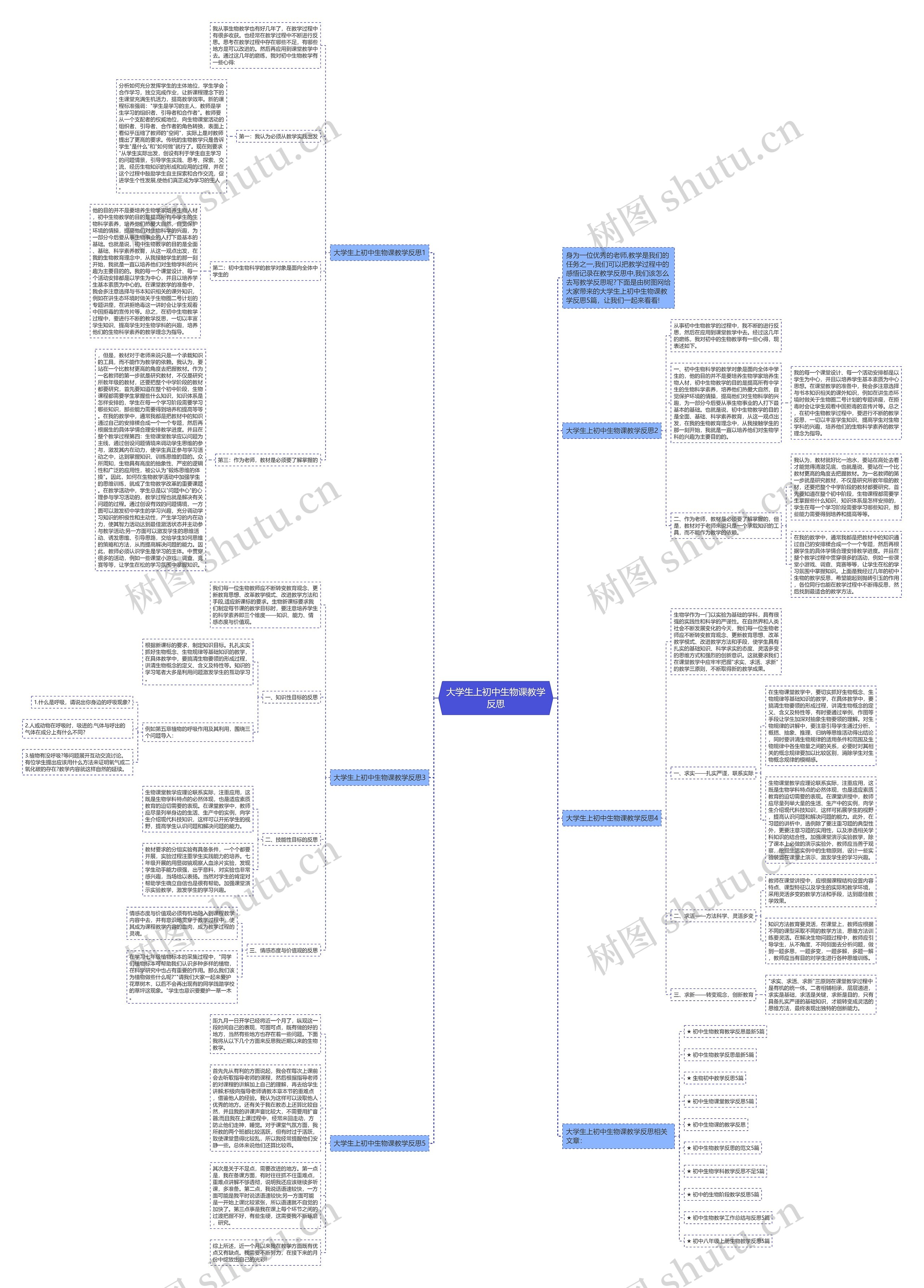 大学生上初中生物课教学反思思维导图