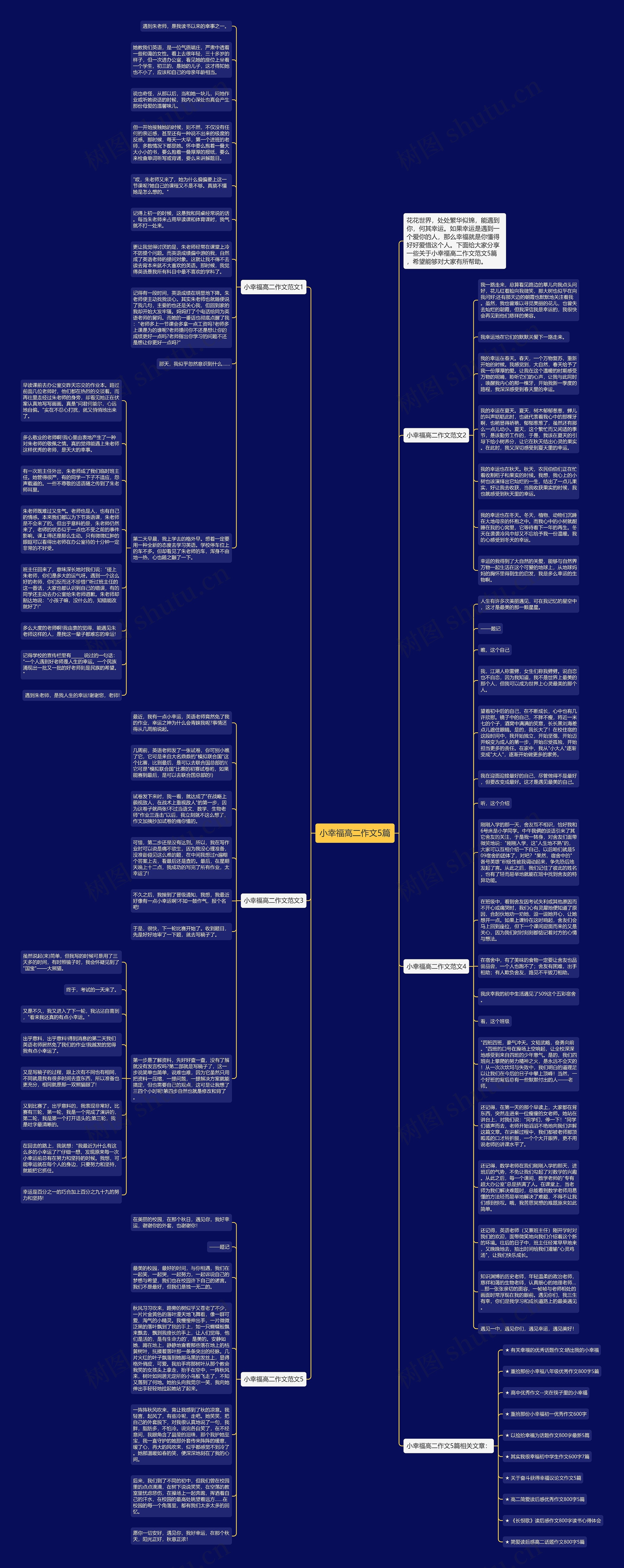 小幸福高二作文5篇思维导图