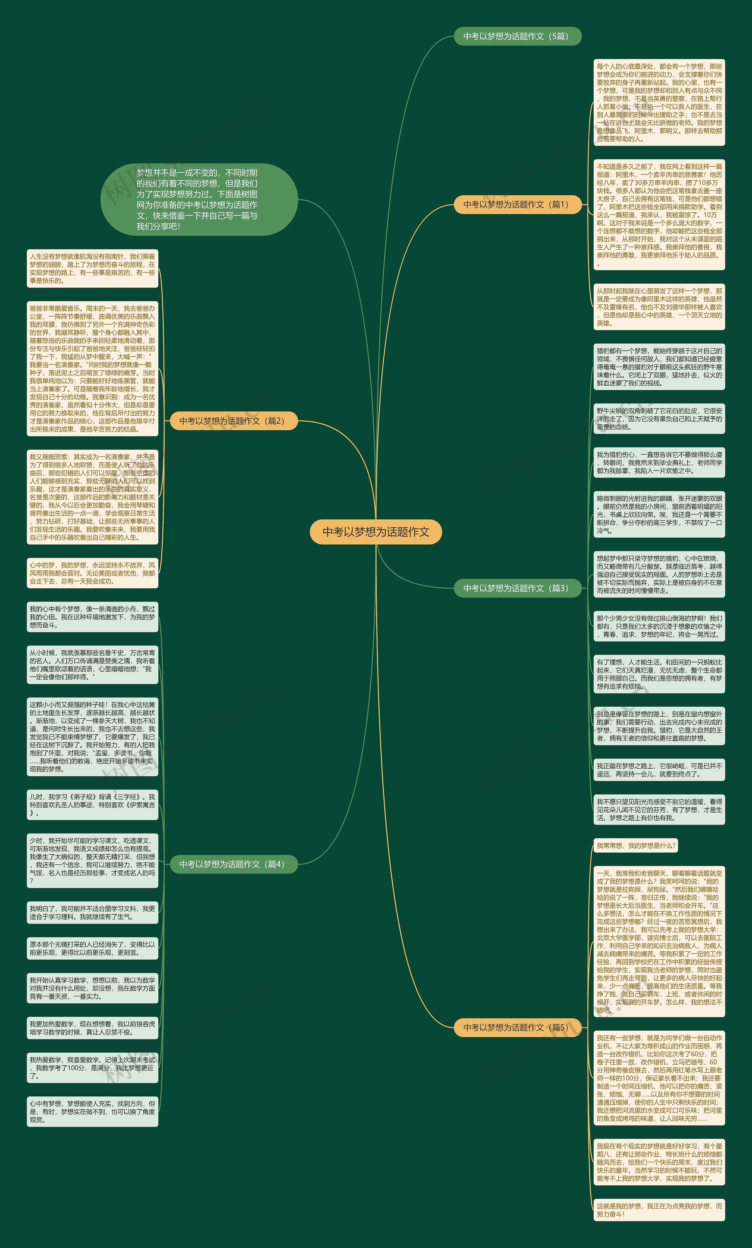 中考以梦想为话题作文思维导图