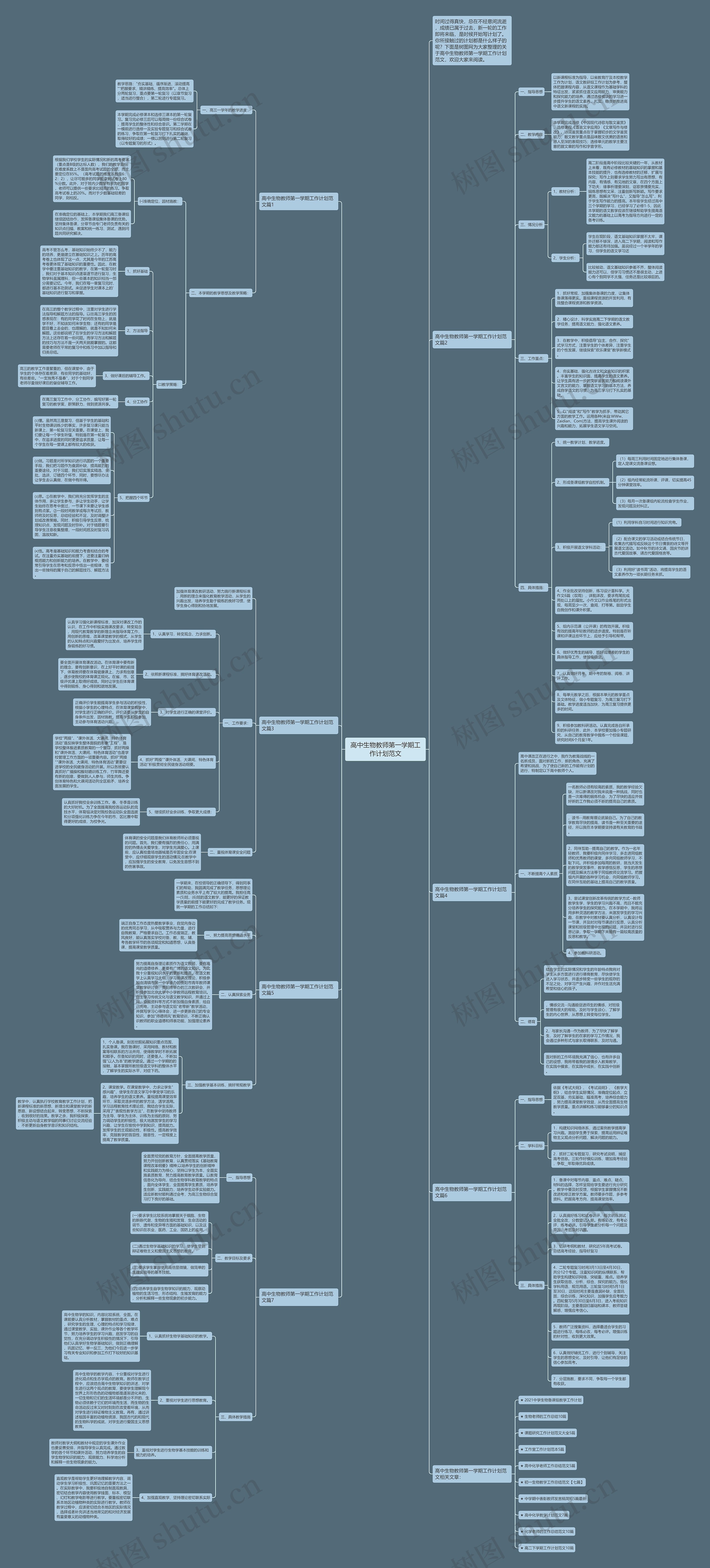 高中生物教师第一学期工作计划范文思维导图